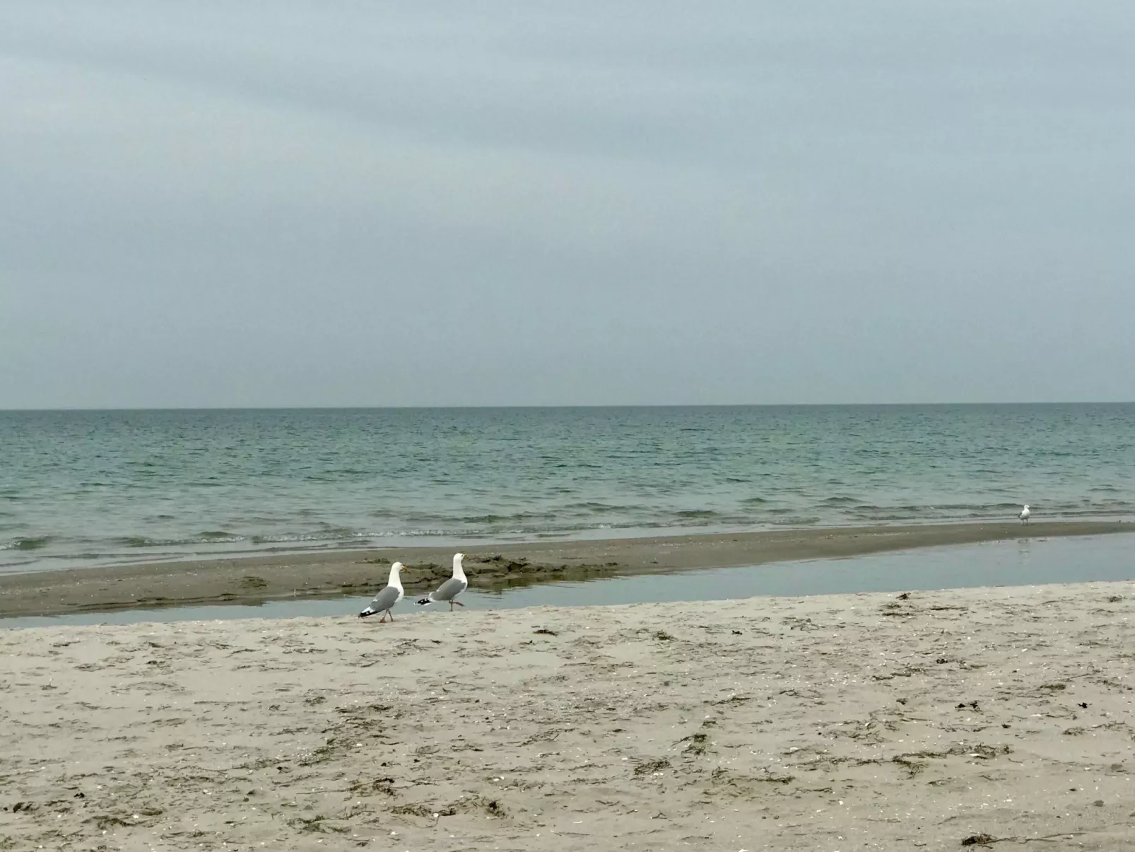 Wiesenblick 2-Binnen