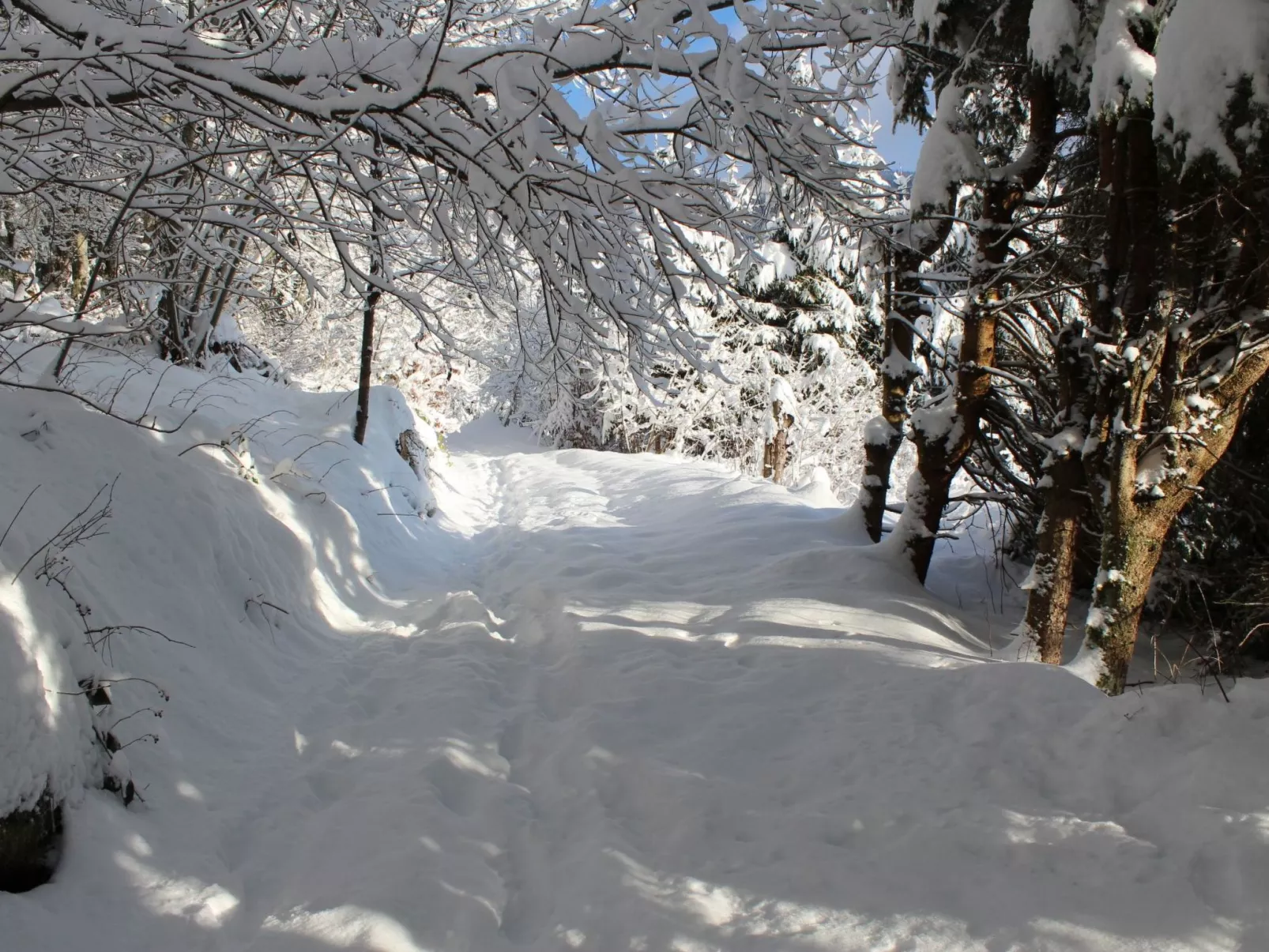 Haus Maria Hochschwarzwald, Garten umzäunt, Waldrand, Hunde willkommen-Binnen