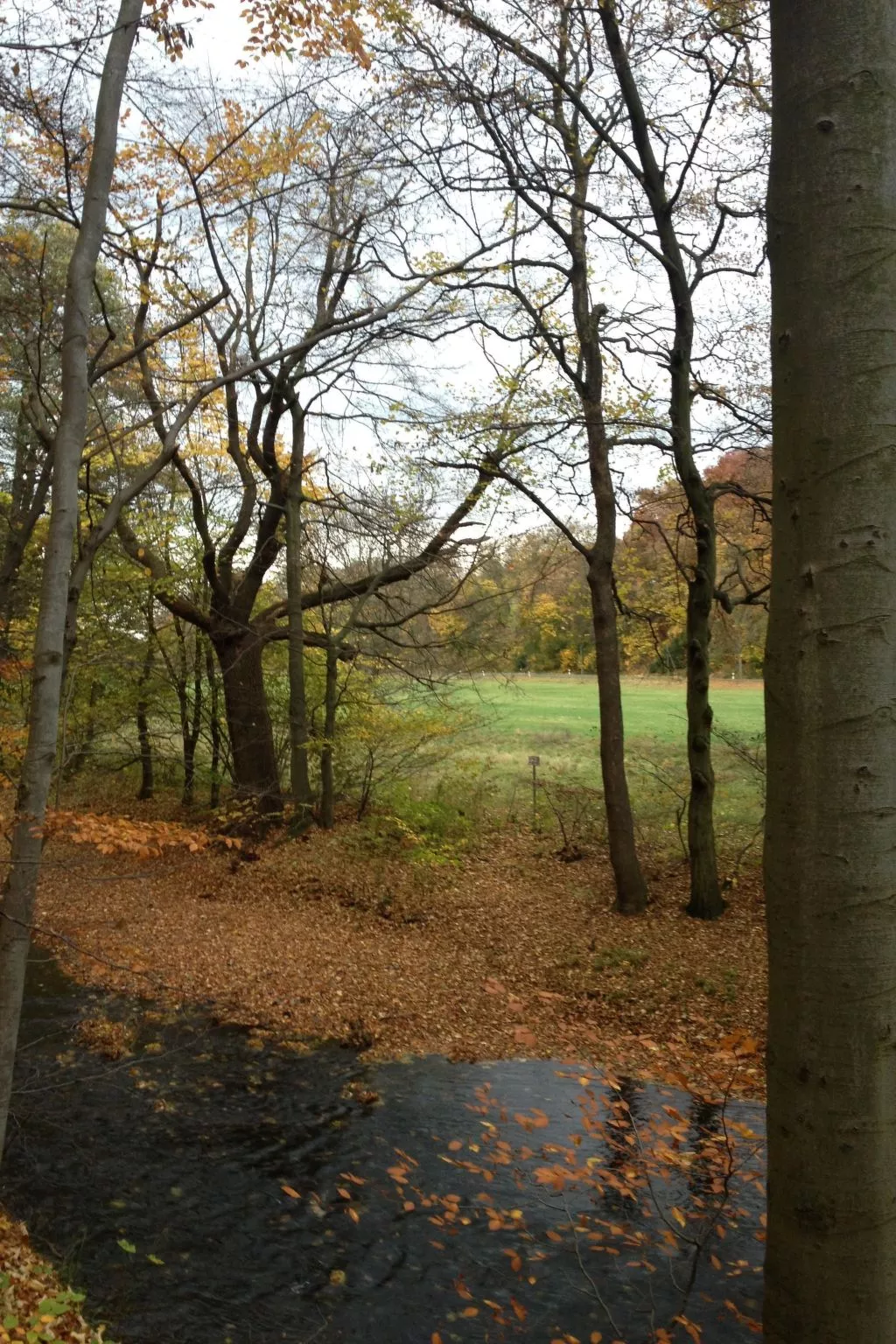 Gemütliche Ferienwohnung für die ganze Familie-Binnen