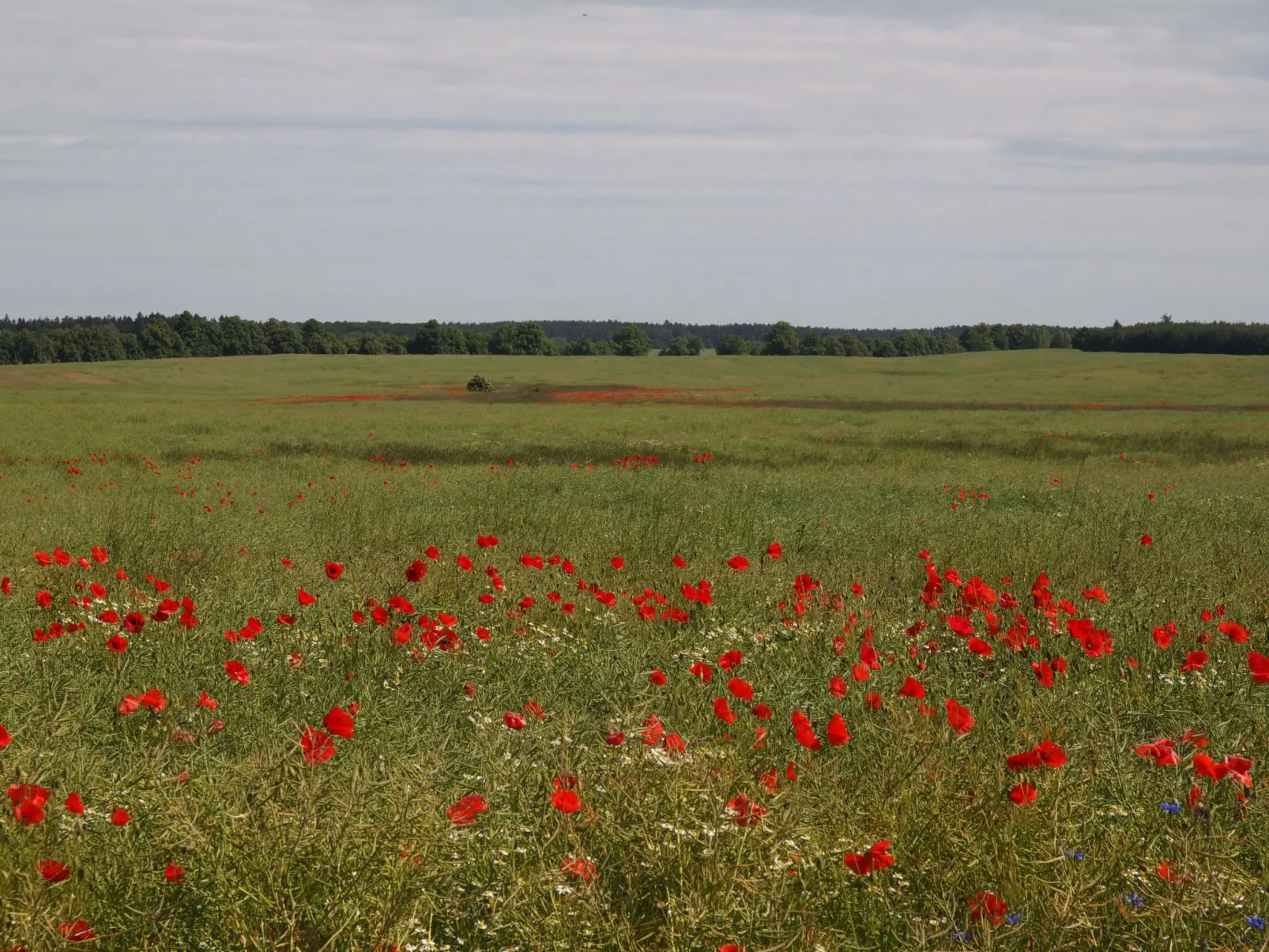 In idylischer Lage-Binnen