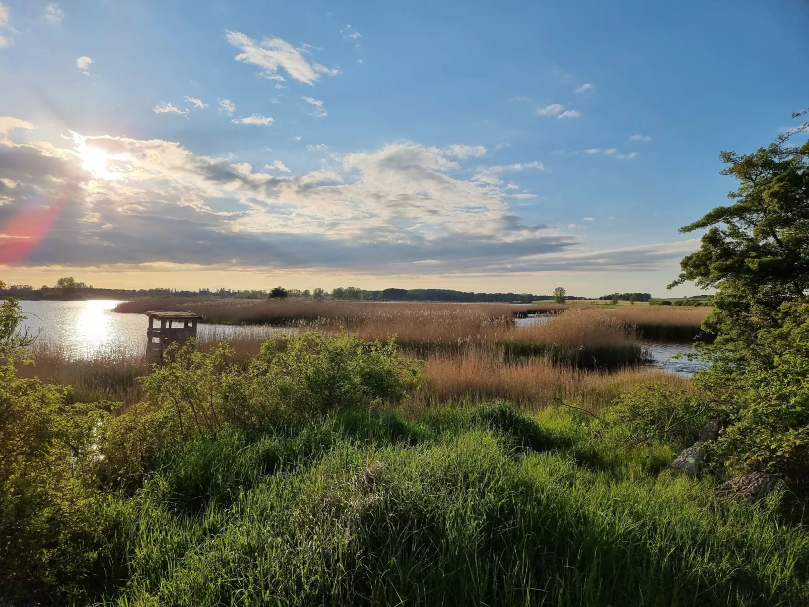 Reethaus Edith-Image-tags.info