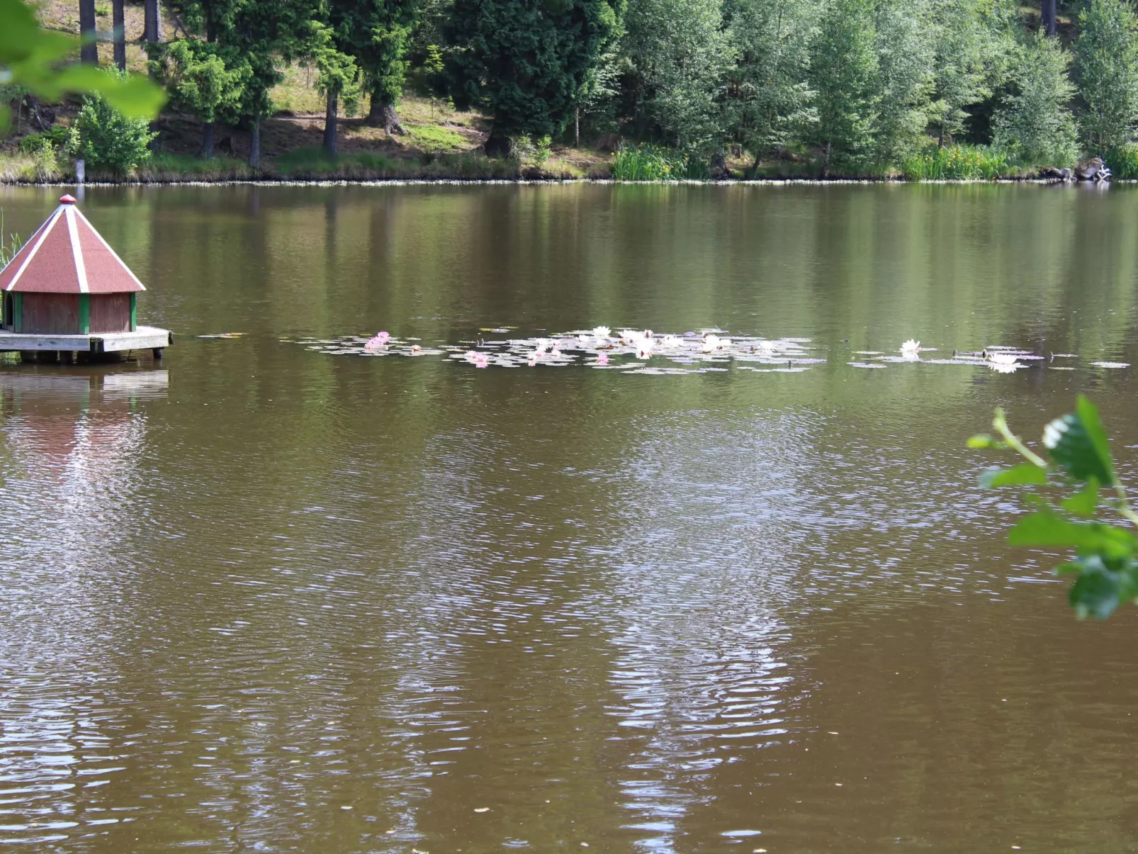 Blauvogel - 6 Pers.-Binnen