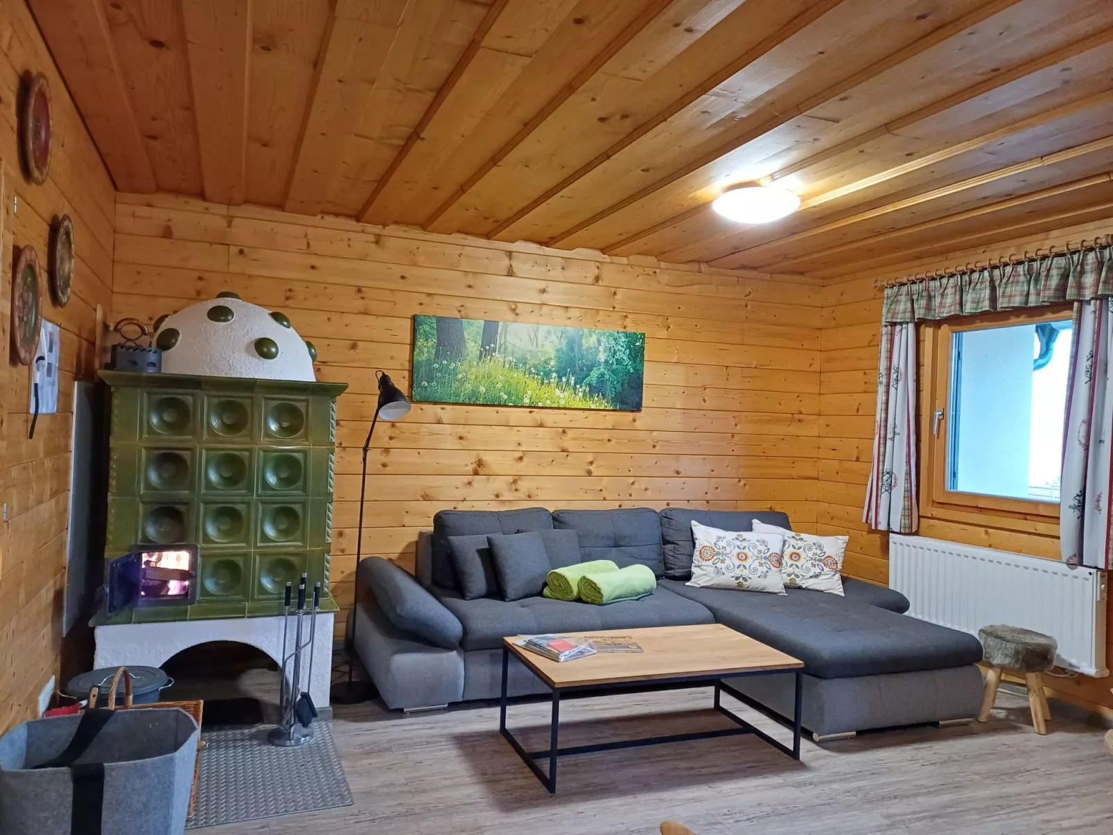 Gemütliche Almhütte direkt im Skigebiet-Binnen