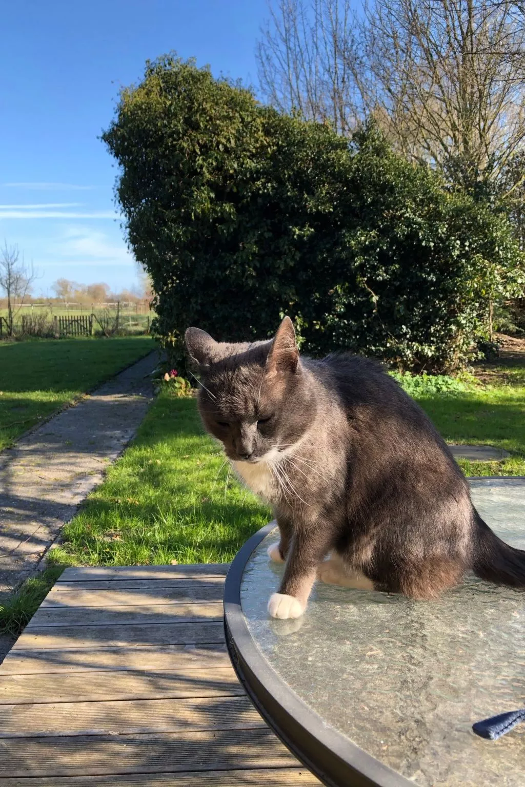 Haus am Reithmoor-Binnen