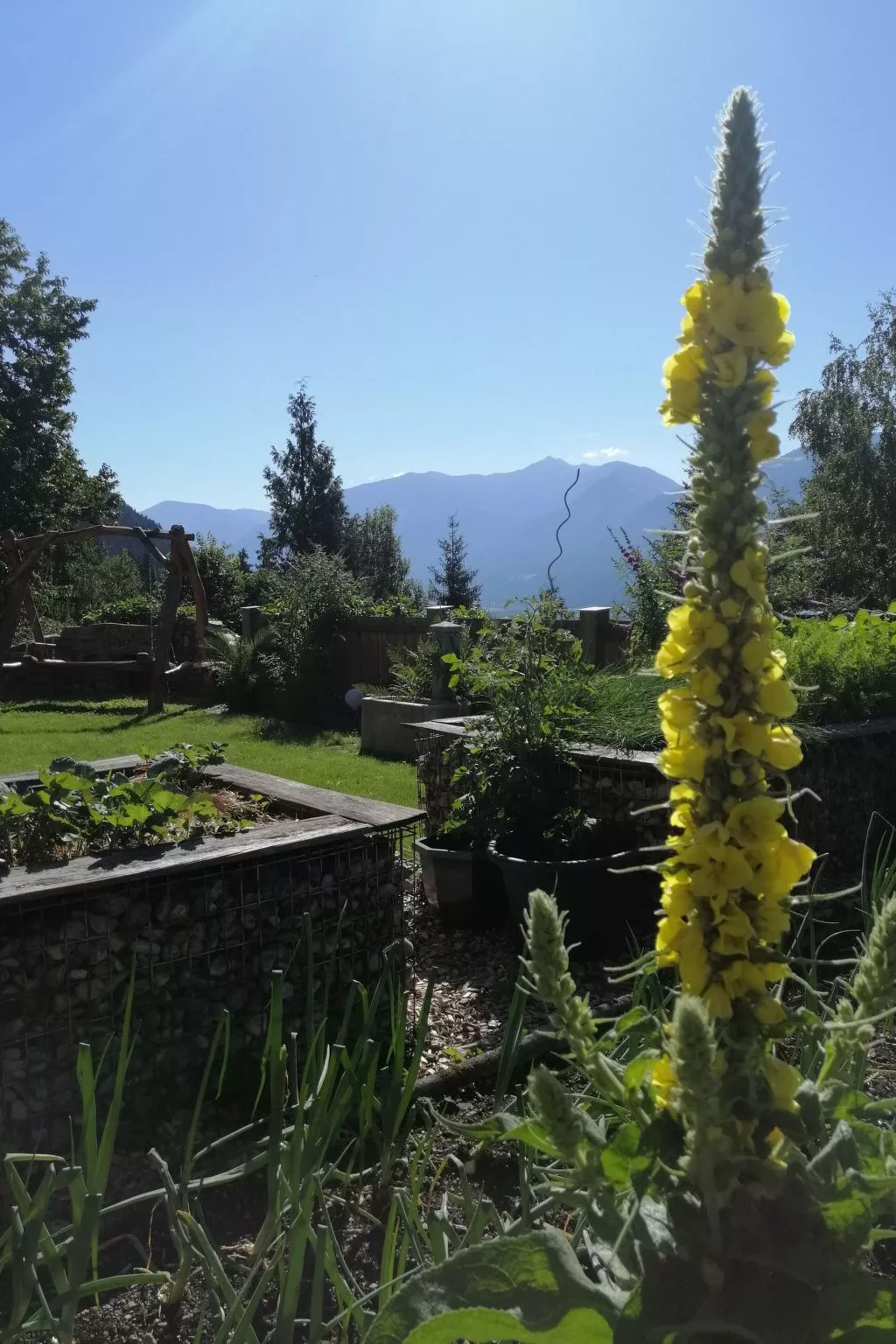 Reißkofel in Steinfeld-Buiten