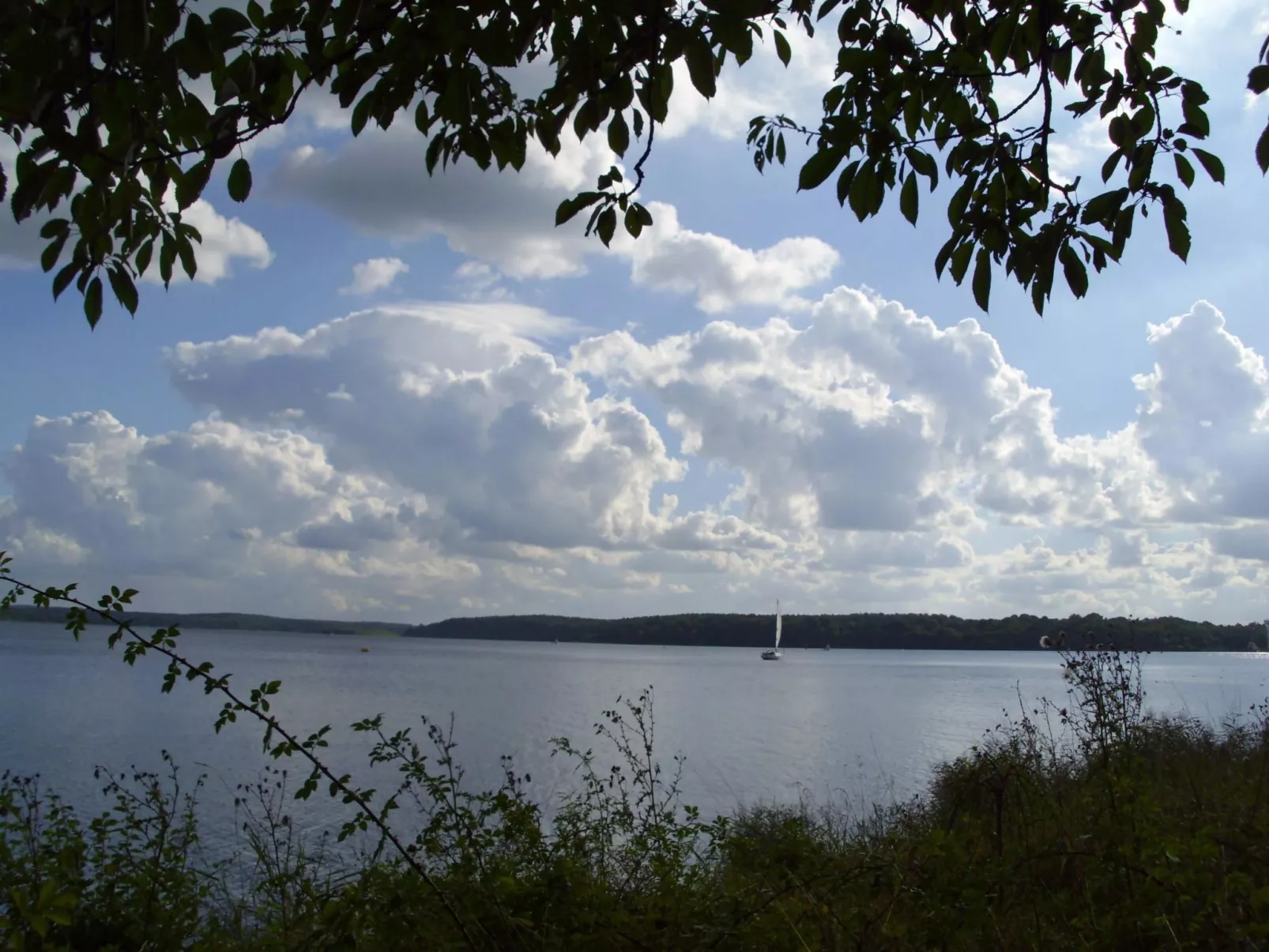 Studio am Rande eines Naturschutzgebietes-Buiten