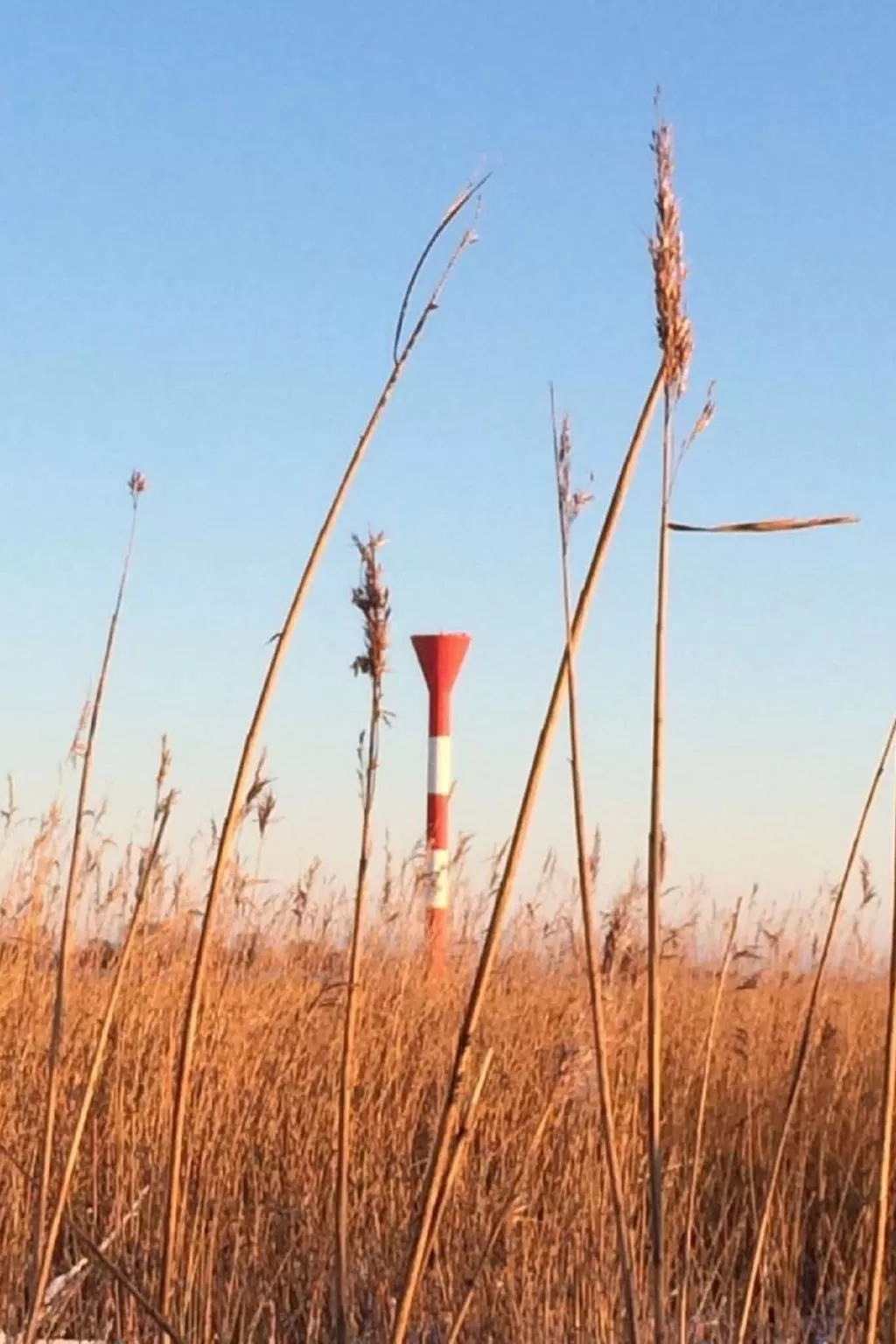 Großes Ferienhaus in Müggendorf mit Garten-Image-tags.info