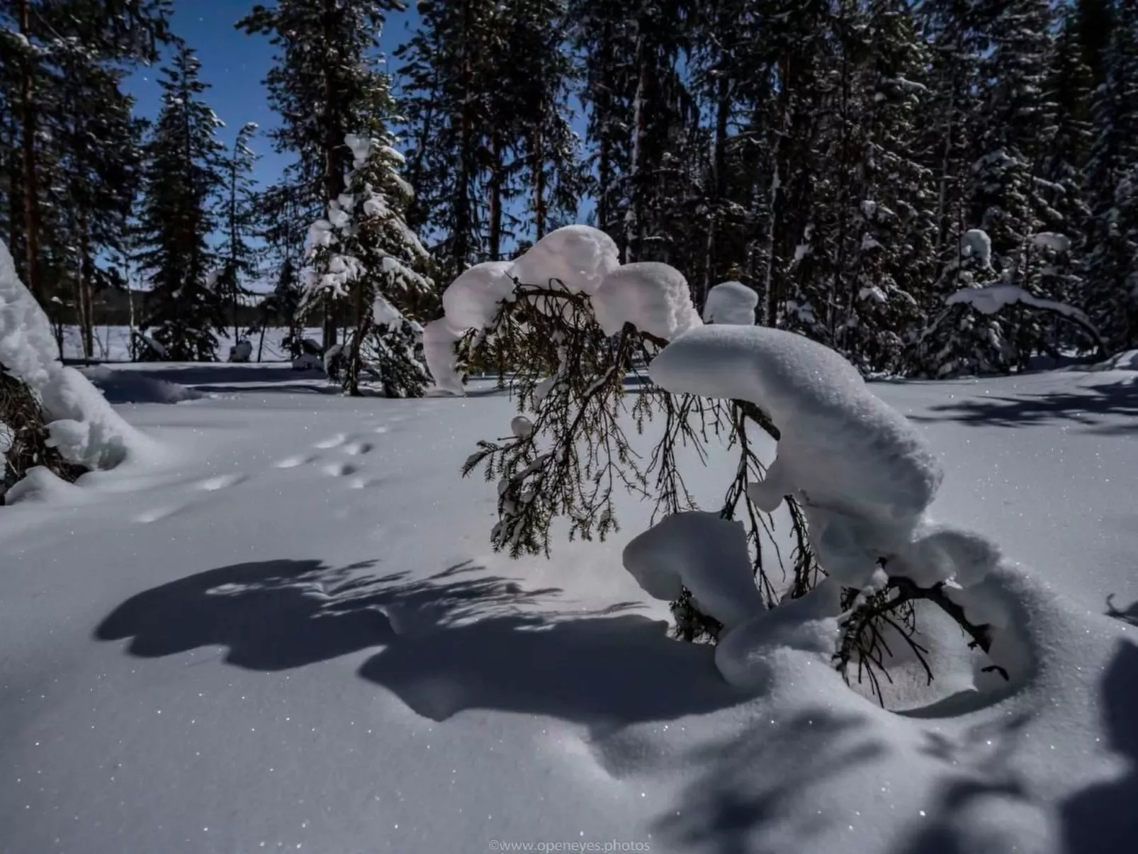 Villa Majringen-Binnen