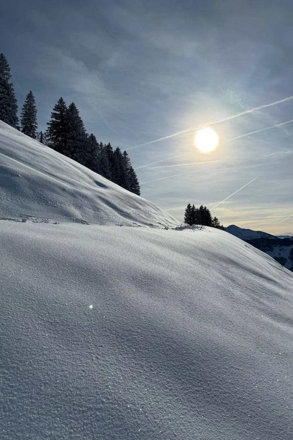 Zwingli's Ferienwohnung-Buiten
