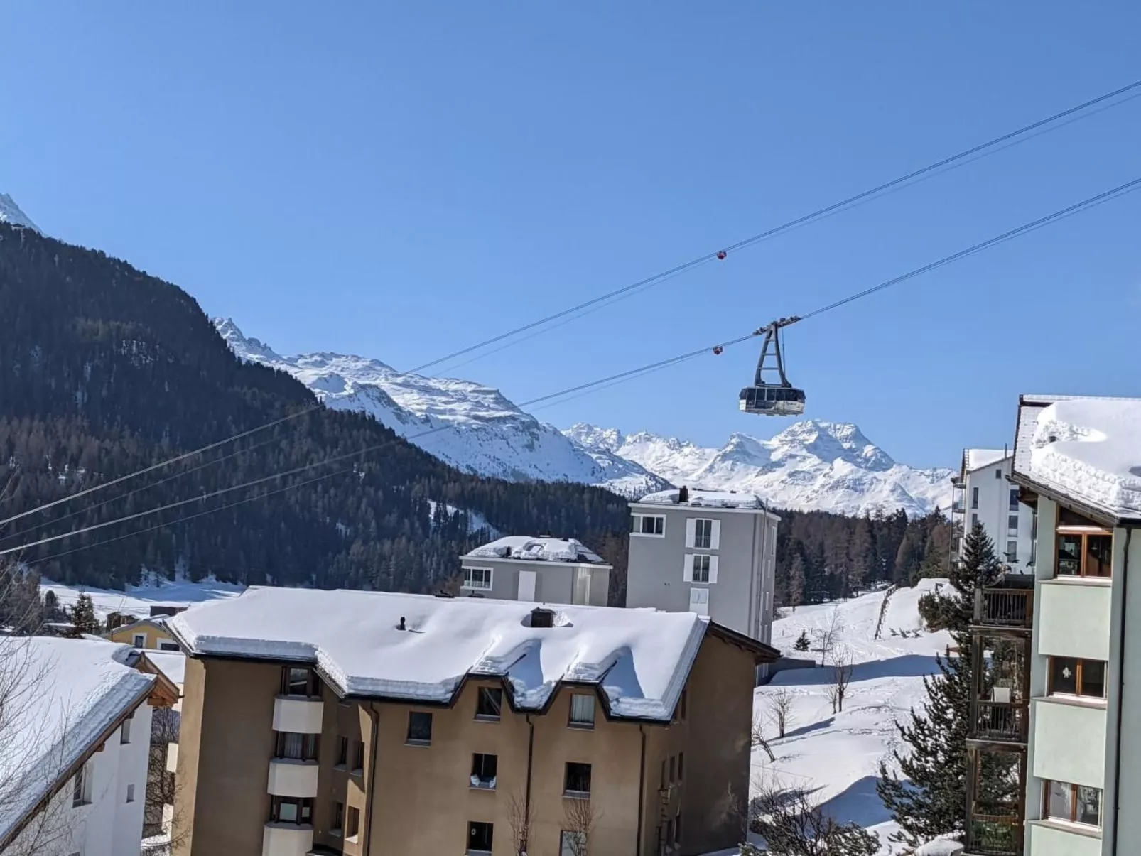 Chavallera 25-Binnen