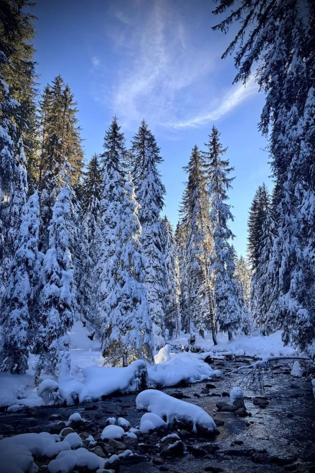 Morgins 6P, Ski-in Ski-out, Parkplatz, zentral, WiFI-Image-tags.info