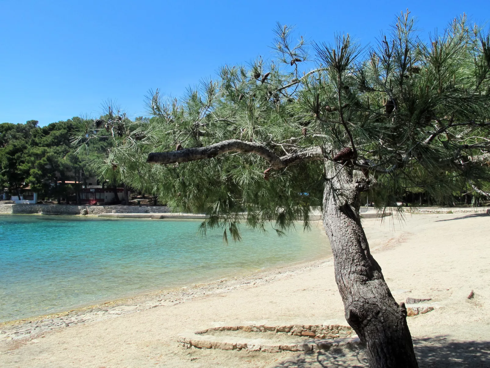 Wohnung Franko in Veli Losinj-Omgeving