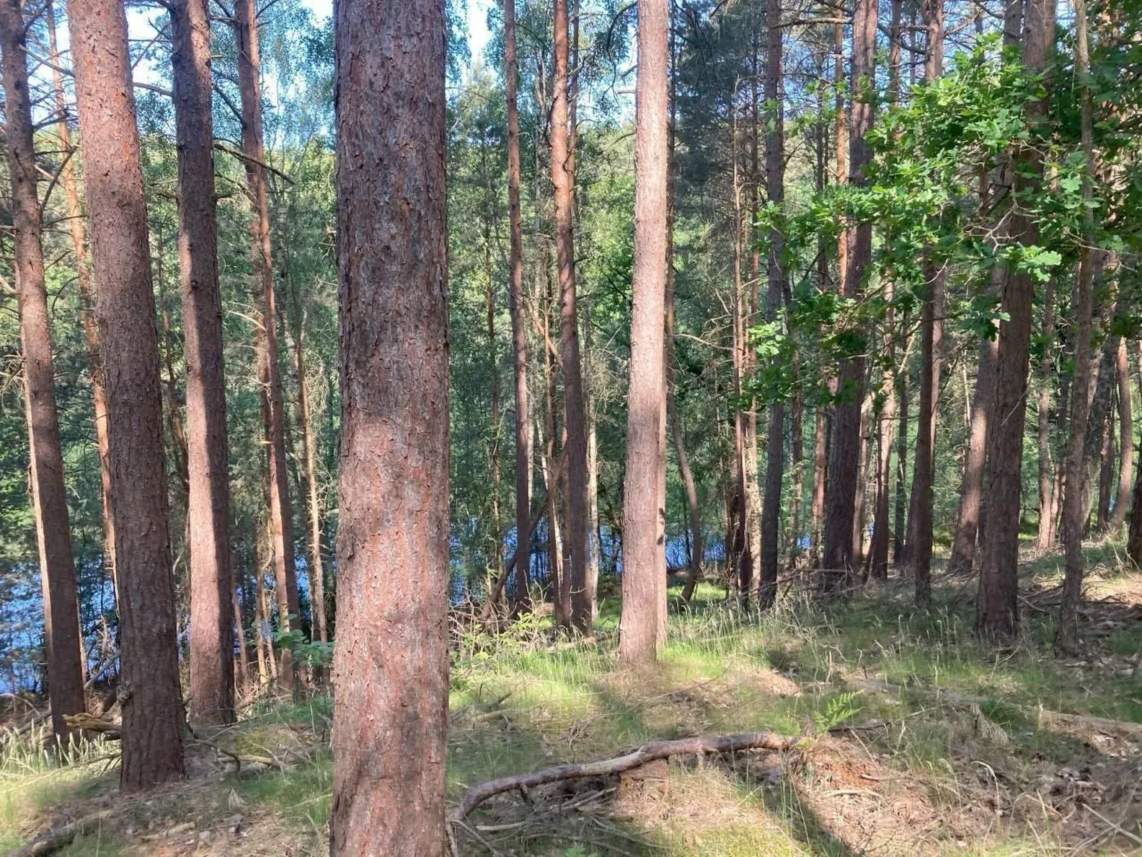 Bungalow Mecklenburgische Seenplatte-Buiten
