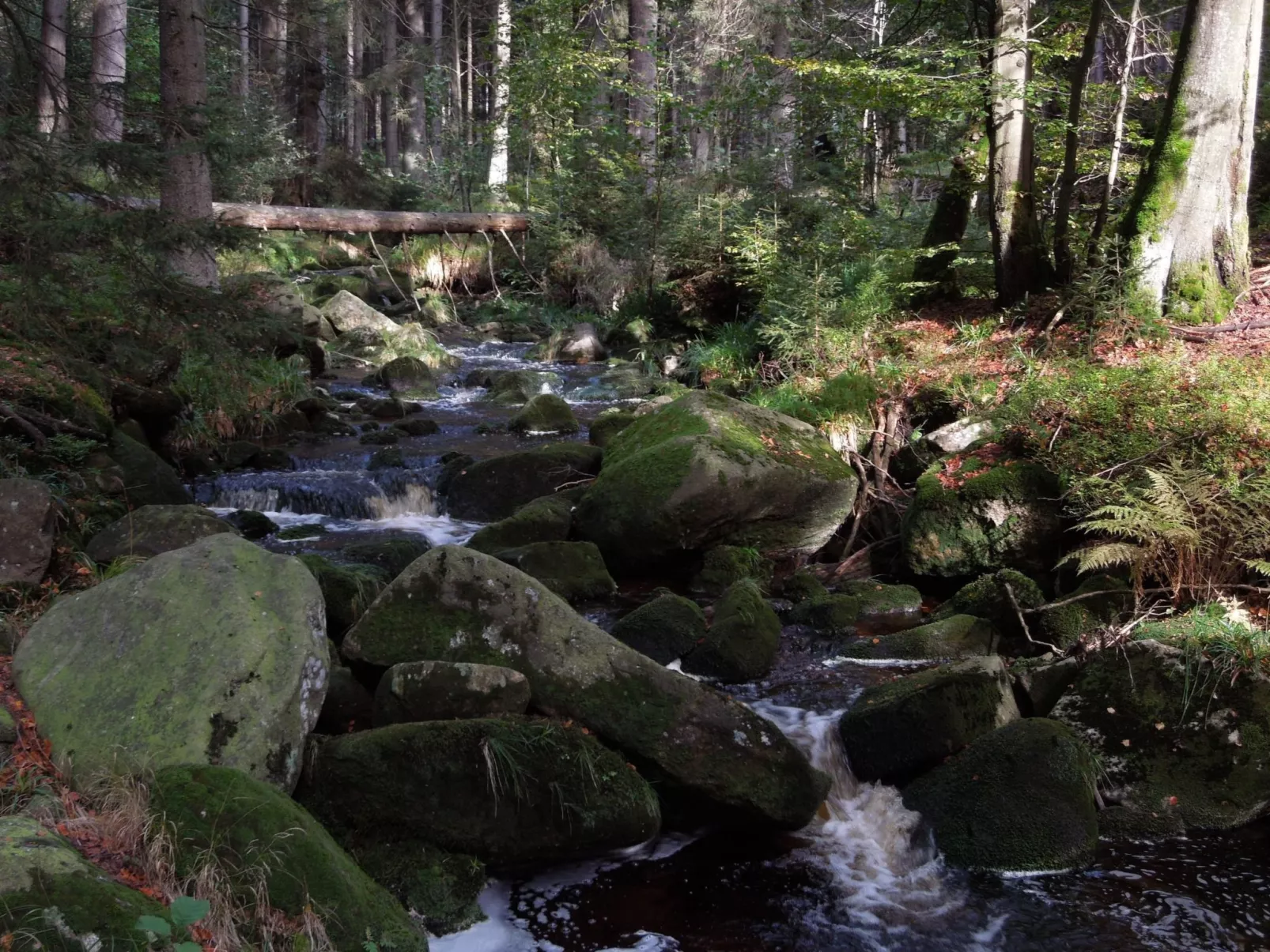 Blockhaus Bodefall-Buiten