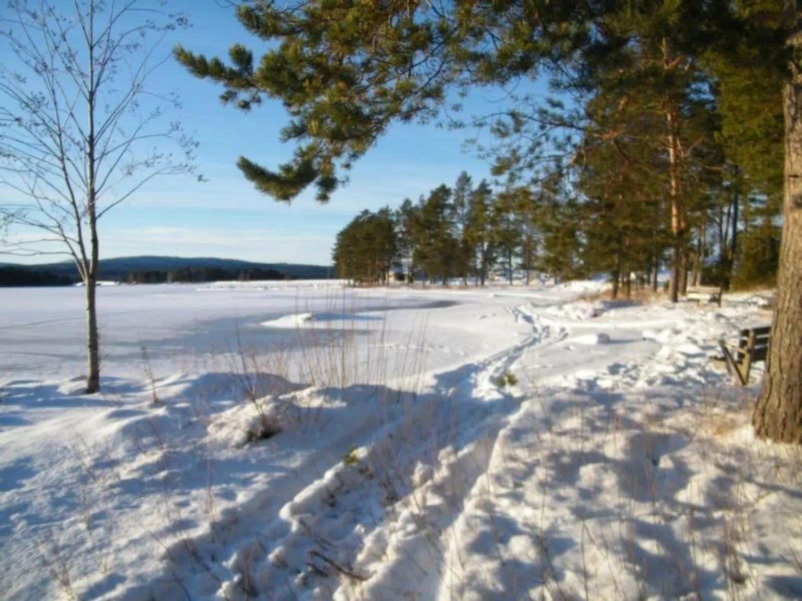 Gunilla-Image-tags.info