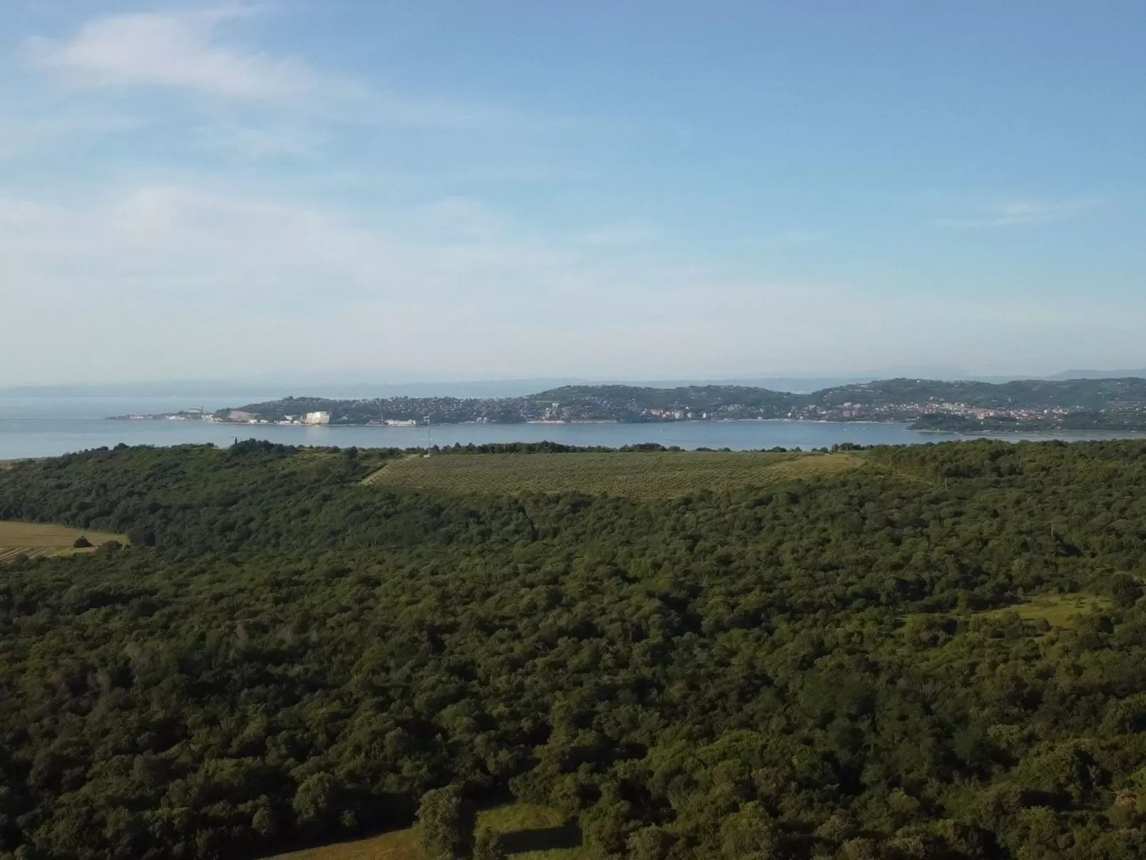 Zweizimmerwohnung mit großer Terrasse in Grupija bei Umag-Binnen