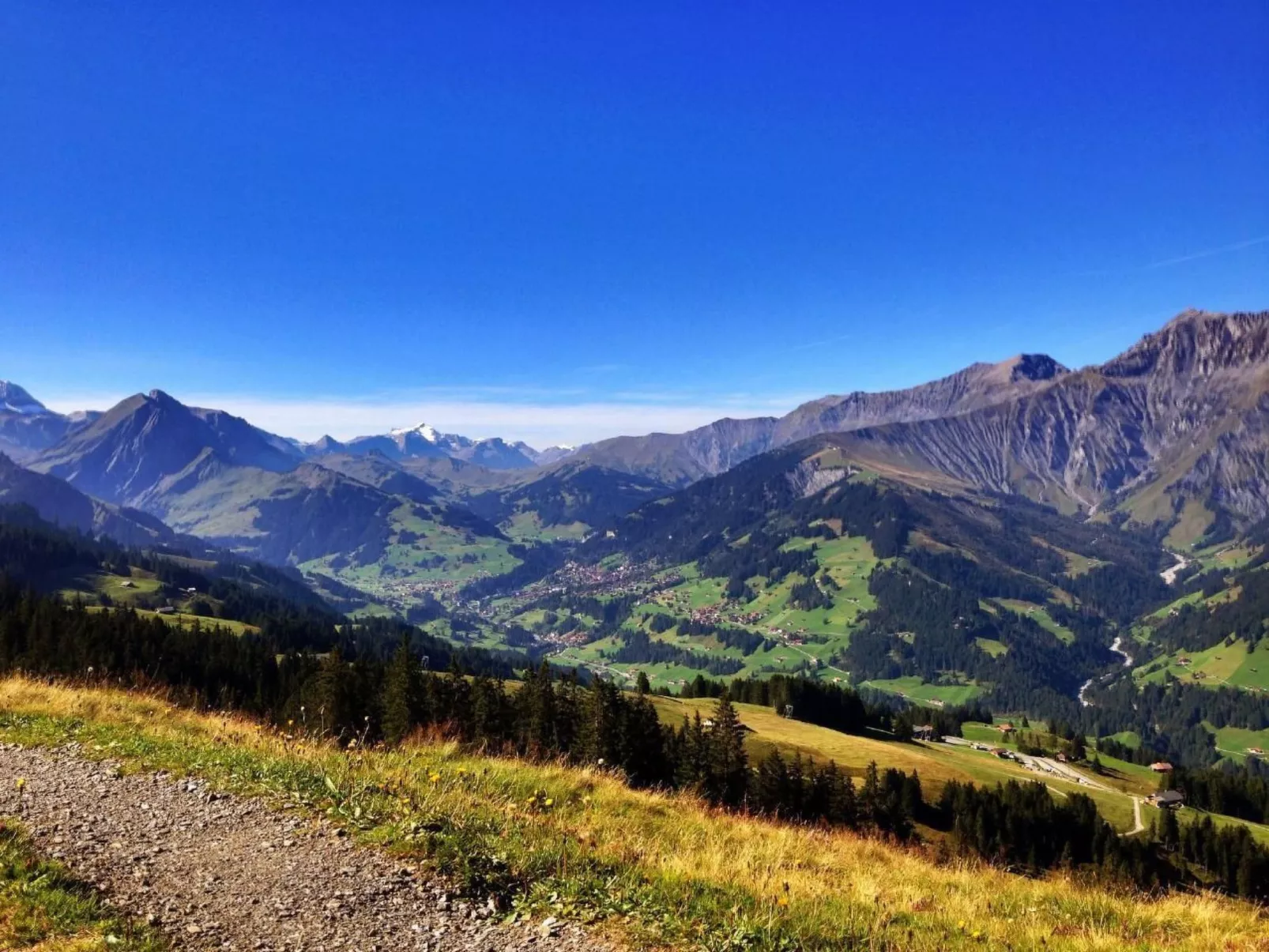 Chalet Bärgblüemli-Binnen