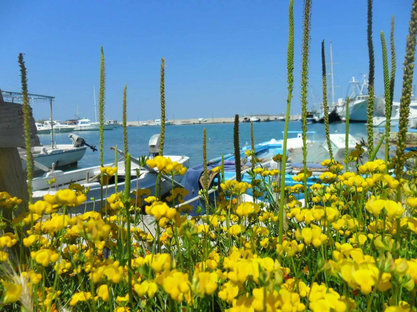 Wohnung Delfin mit Meerblick - TA Leut Agency-Buiten