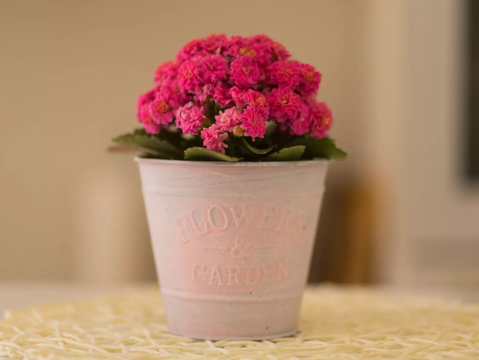 Dalmatinisches Haus in der Altstadt von Split-Binnen