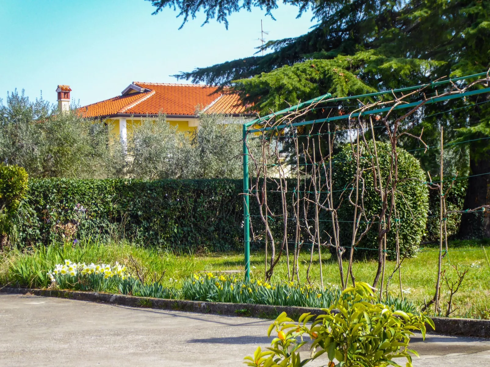 Wohnung Valerija-Binnen