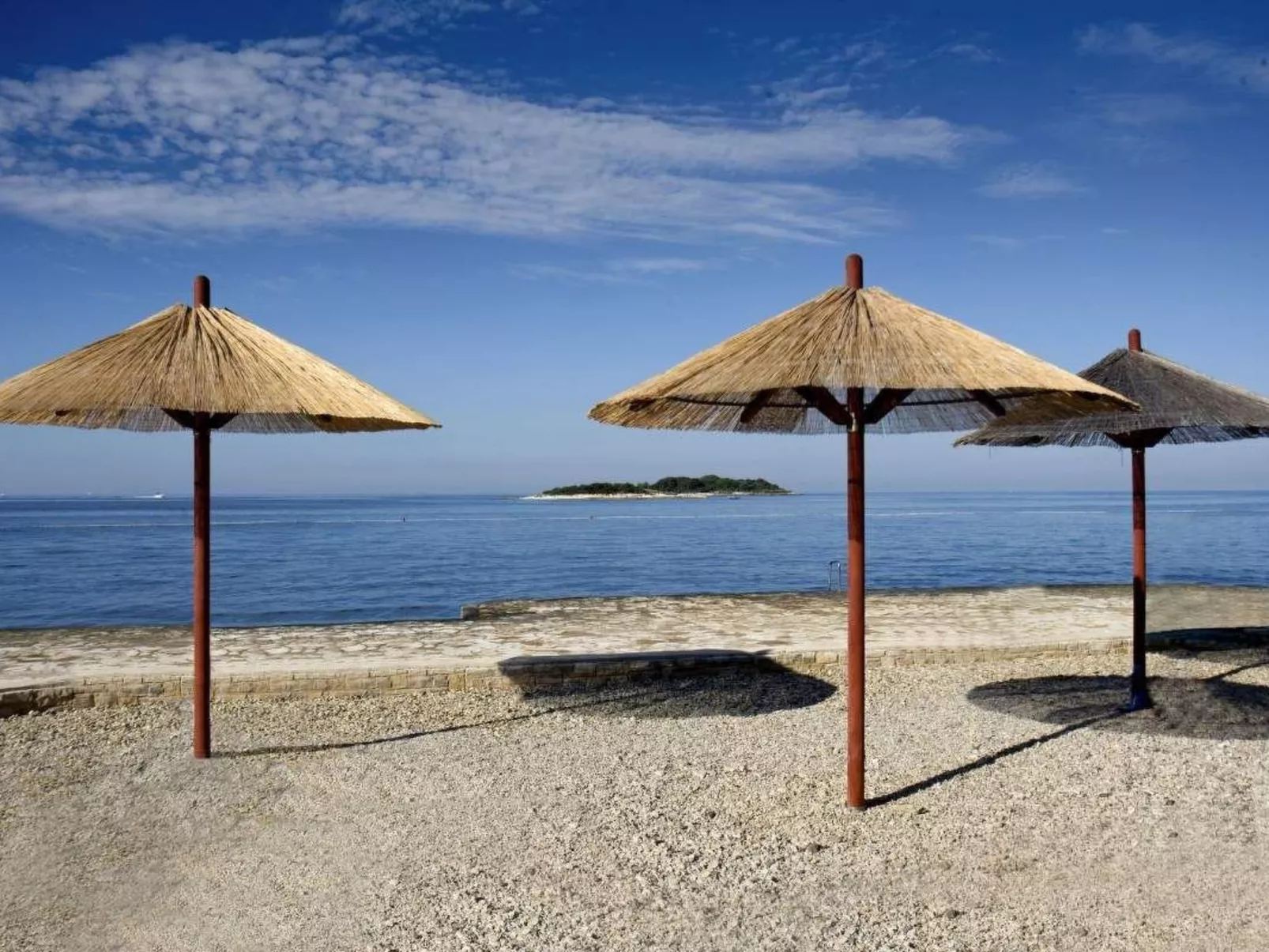 Oleandar-Image-tags.info