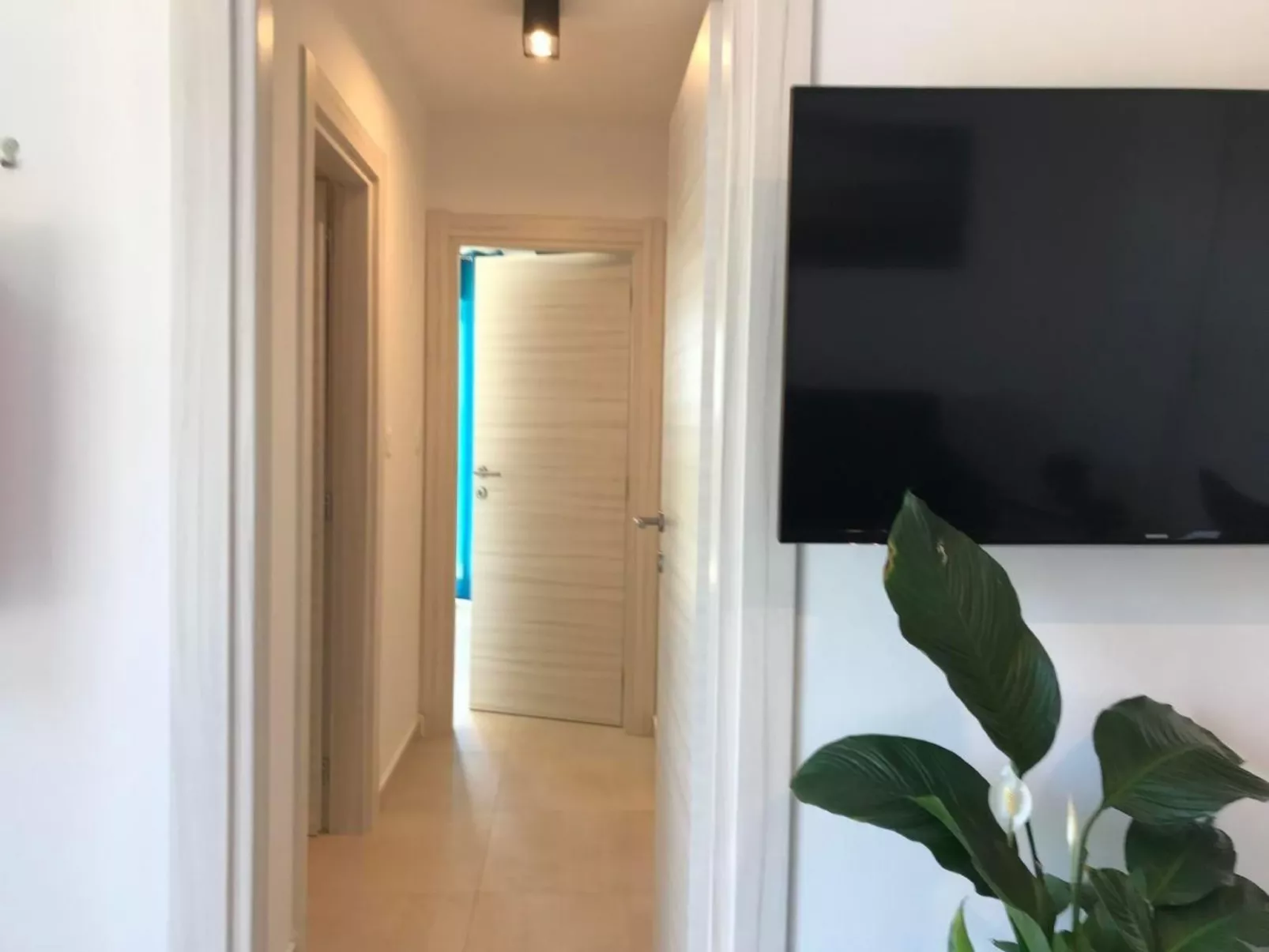 Rijeka-Image-tags.info