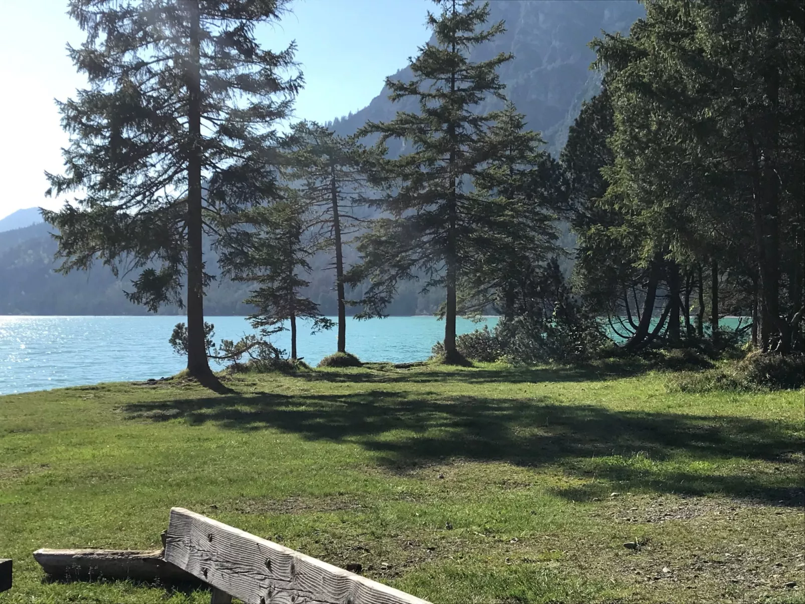 Pony-Ziegen-Hasen-Ranch in Bichlbach-Image-tags.info