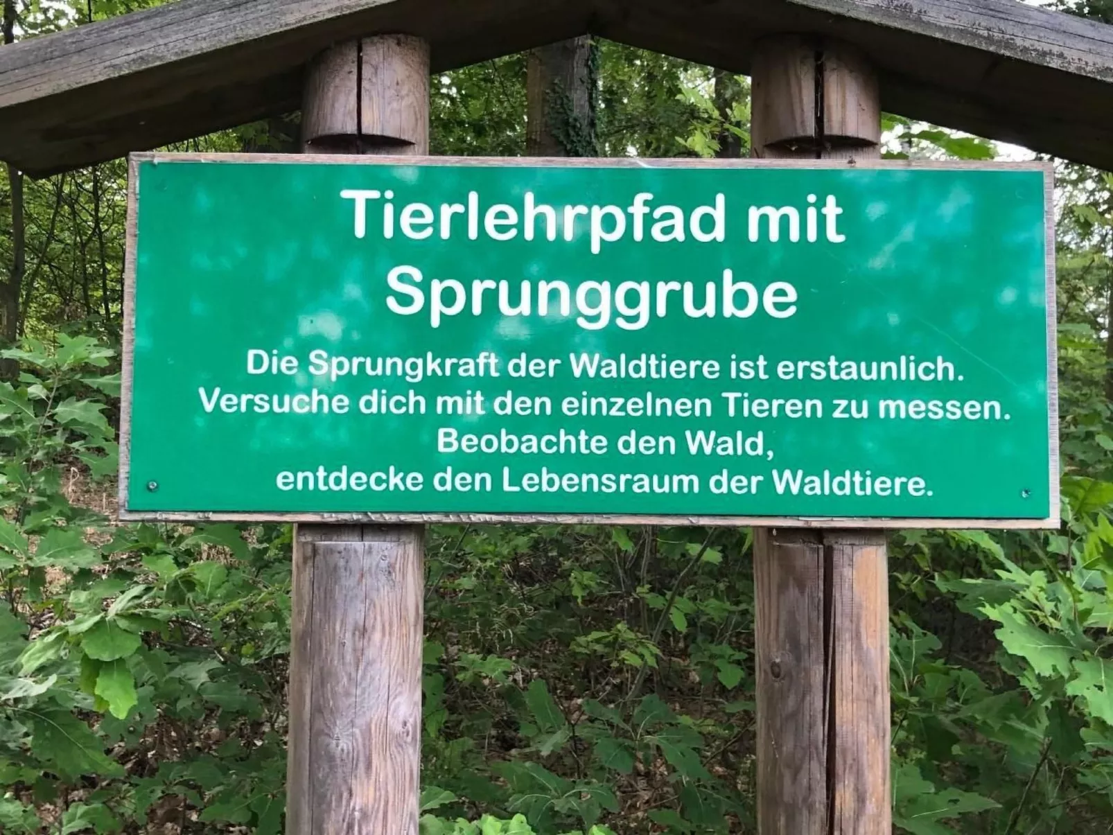 Wohnung mit möblierter Terrasse - barrierefrei-Binnen