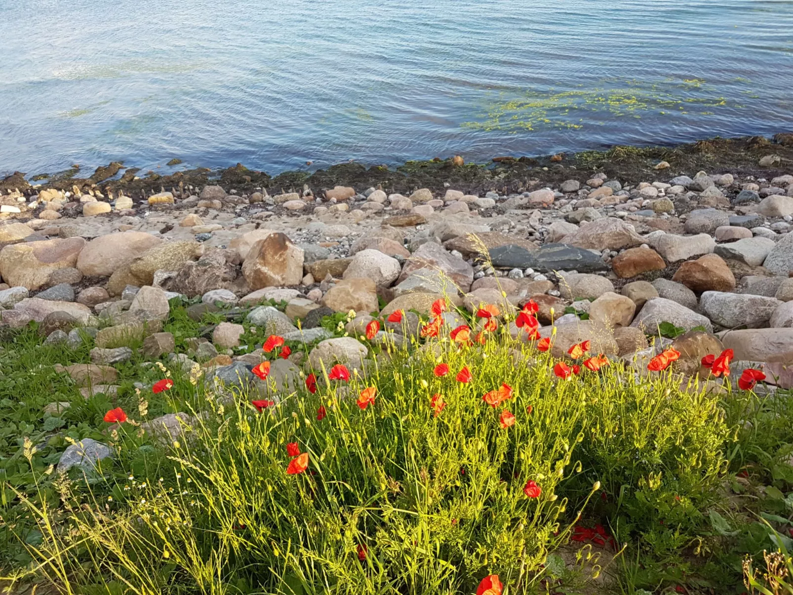 Portals Vells - Buiten