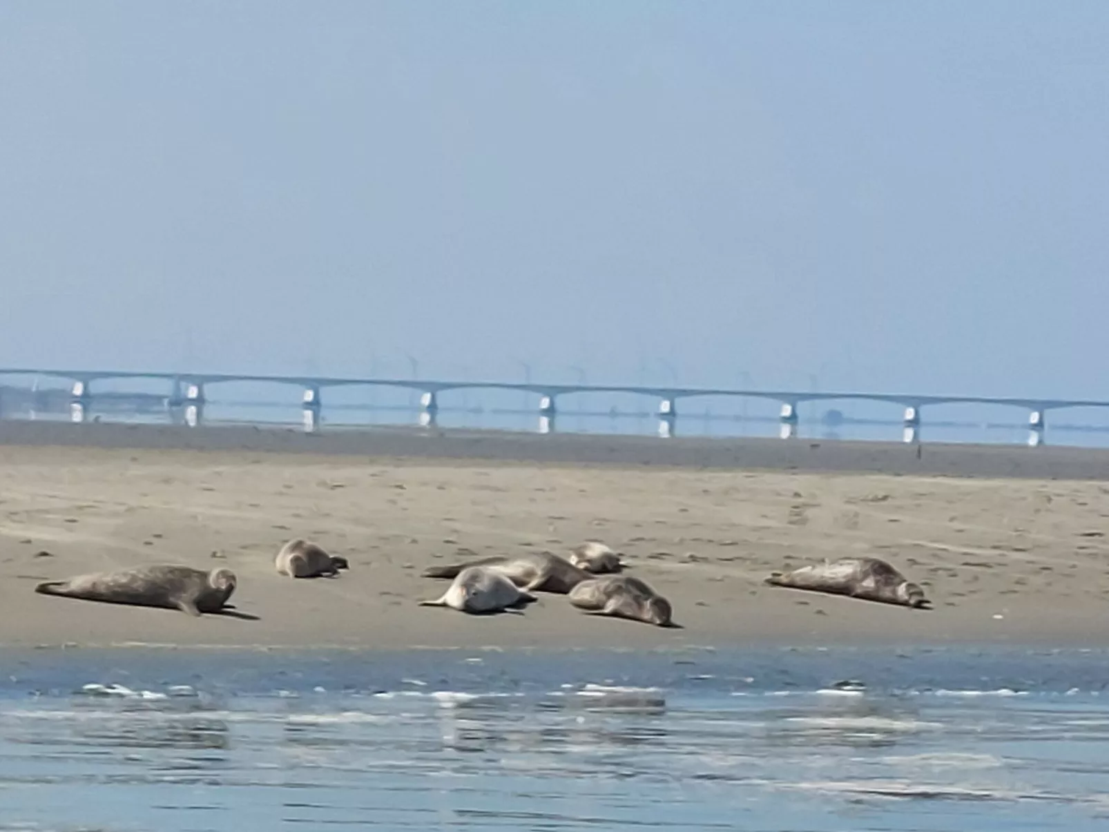 Buurtweg 75-Image-tags.info