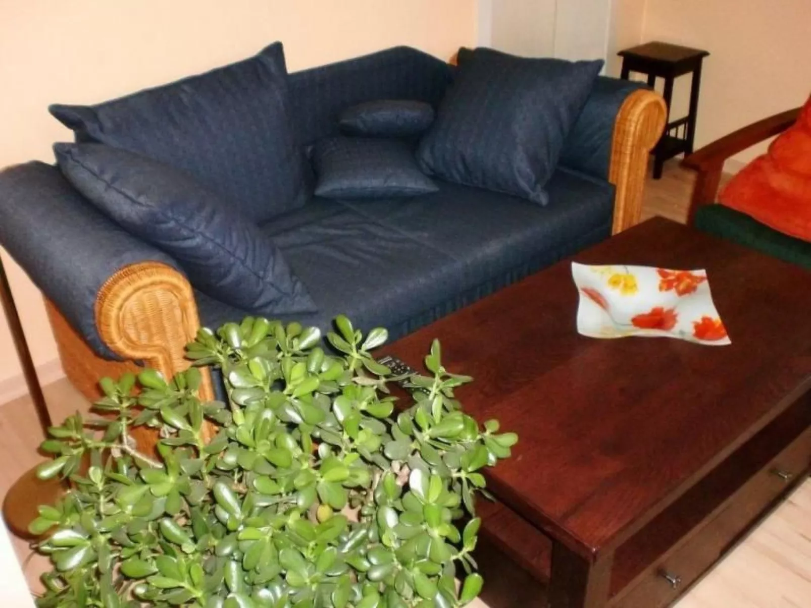 Mit Terrasse in ruhiger Lage-Binnen