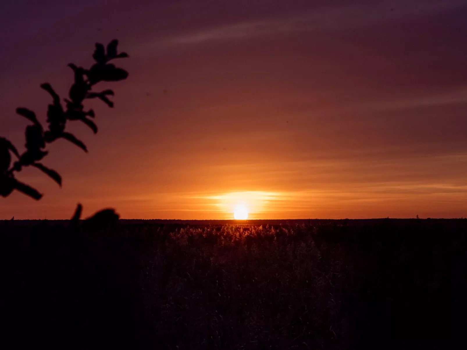 Admiral's Corner Luv-Binnen