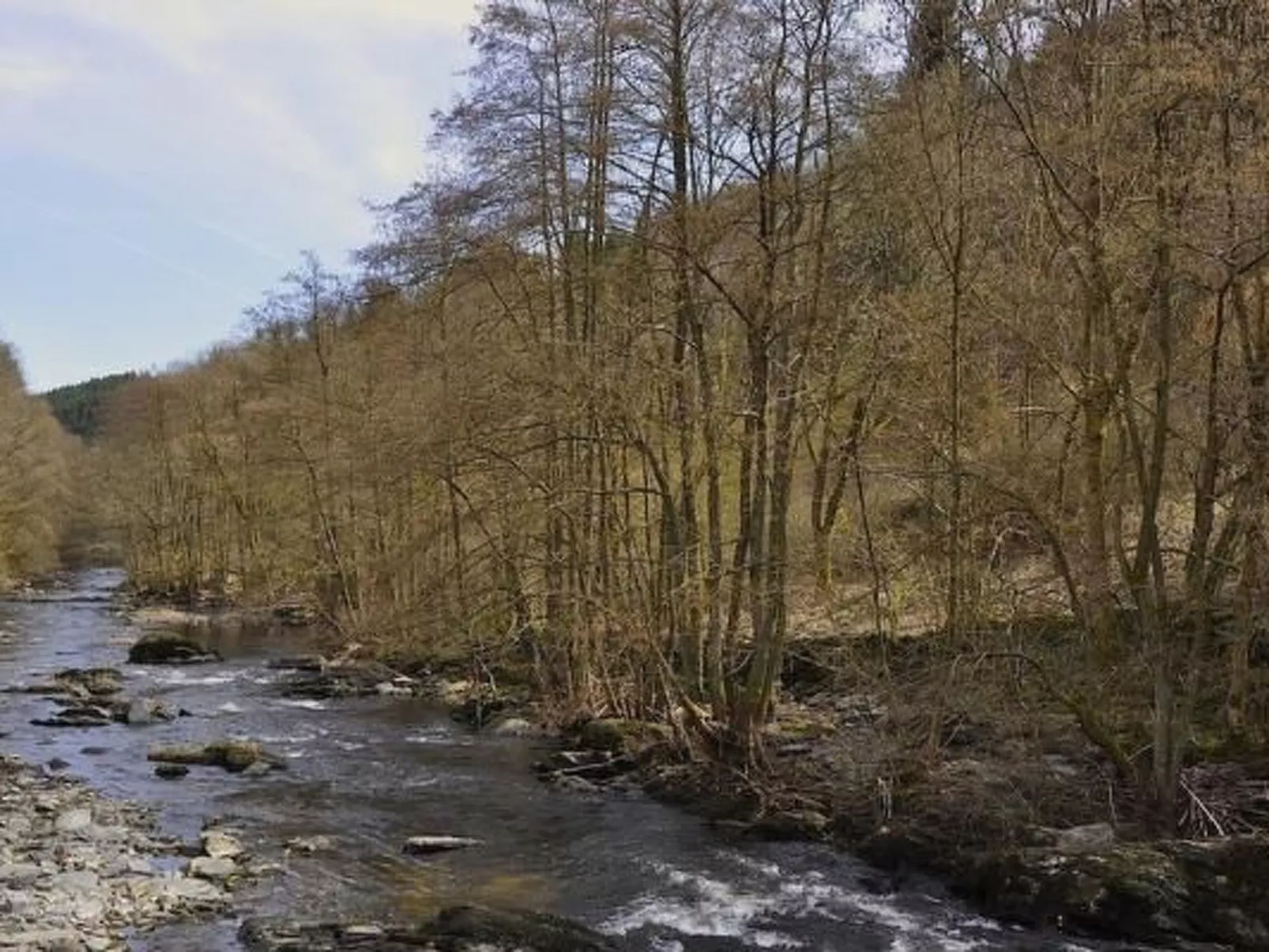 Mit Bergblick-Binnen