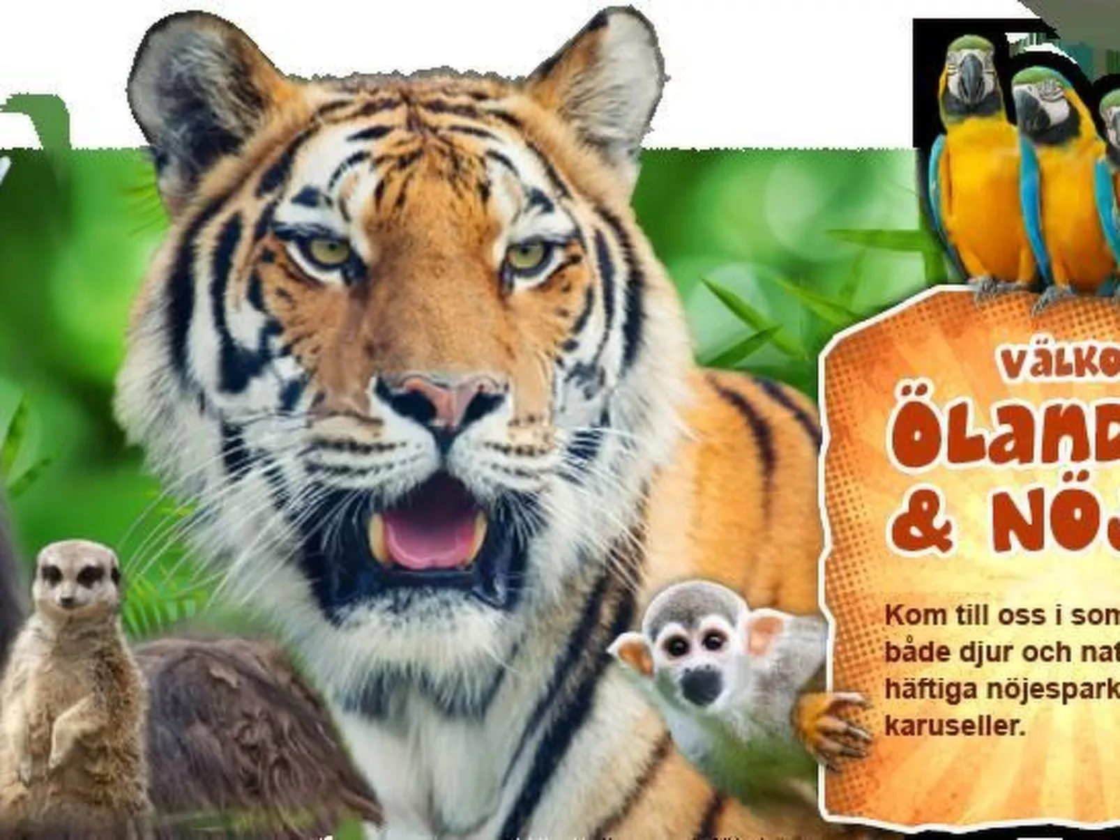 Holzhaus mit Terrasse, direkt an einer Bucht-Buiten