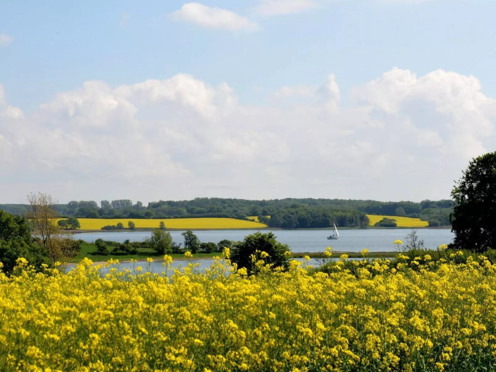'Heile Welt' bei Maasholm - Buiten