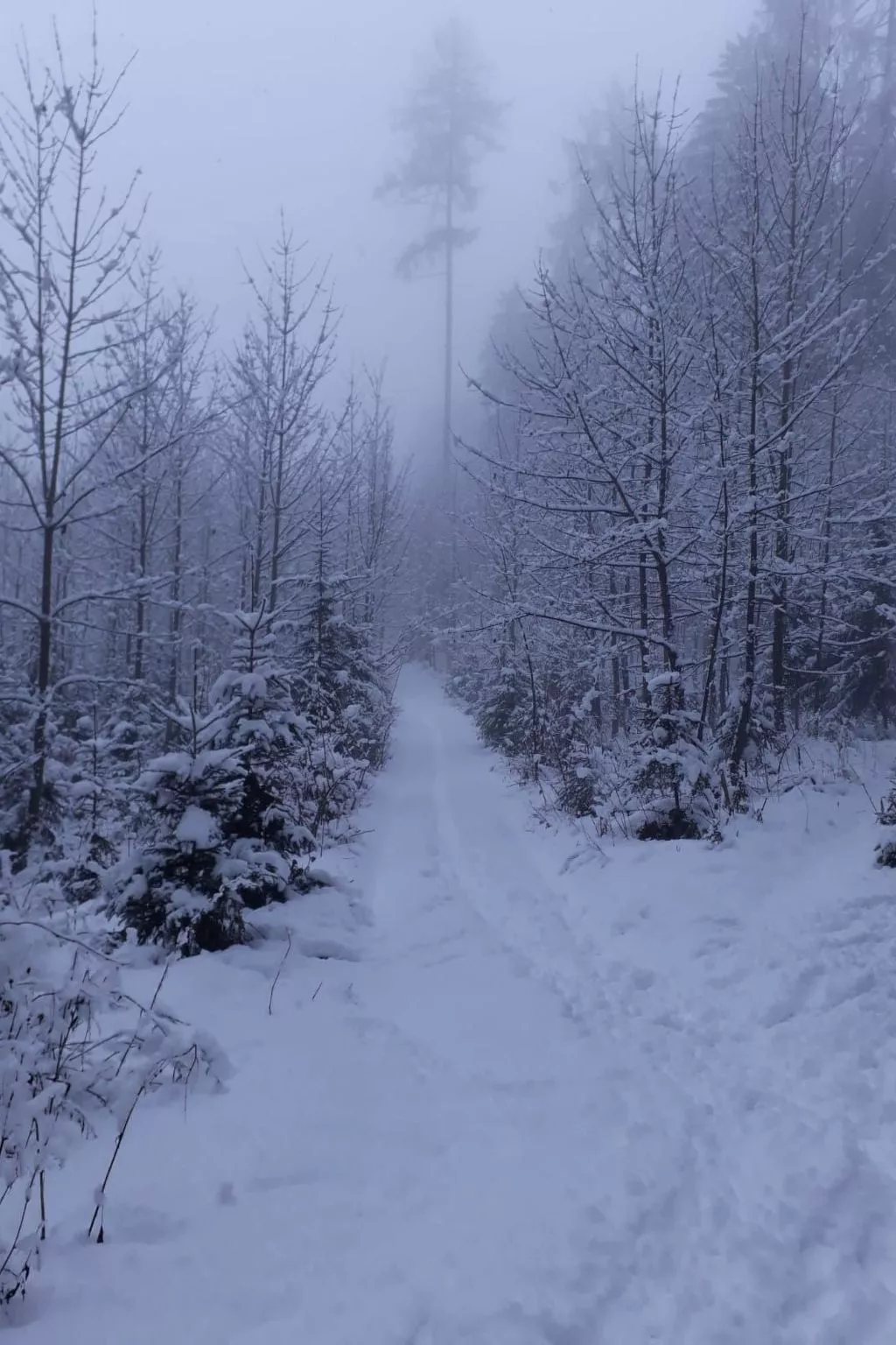 Haus Bernkogelblick in Goldegg-Binnen