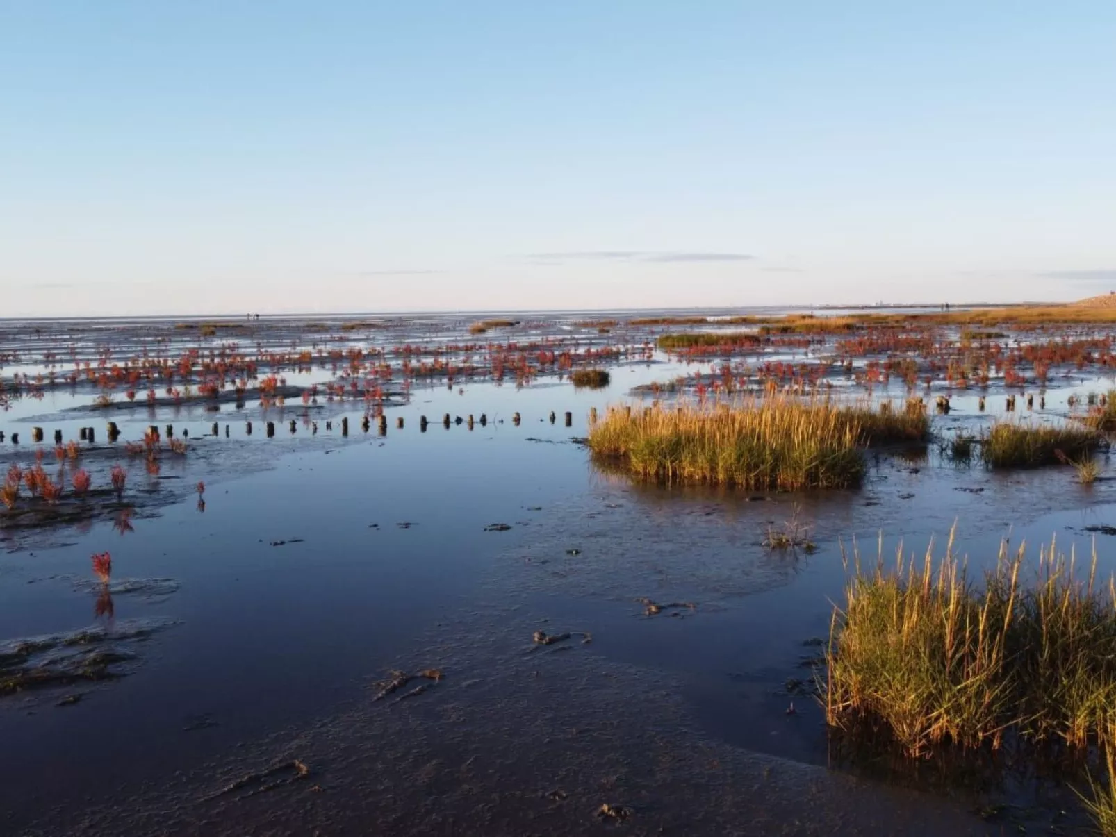 FeWo Austernfischer-Binnen