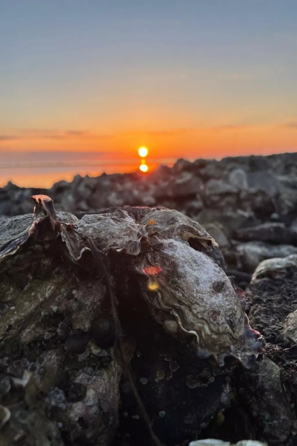 Reefhouse 57, wo es noch Raum für Ruhe gibt-Image-tags.info