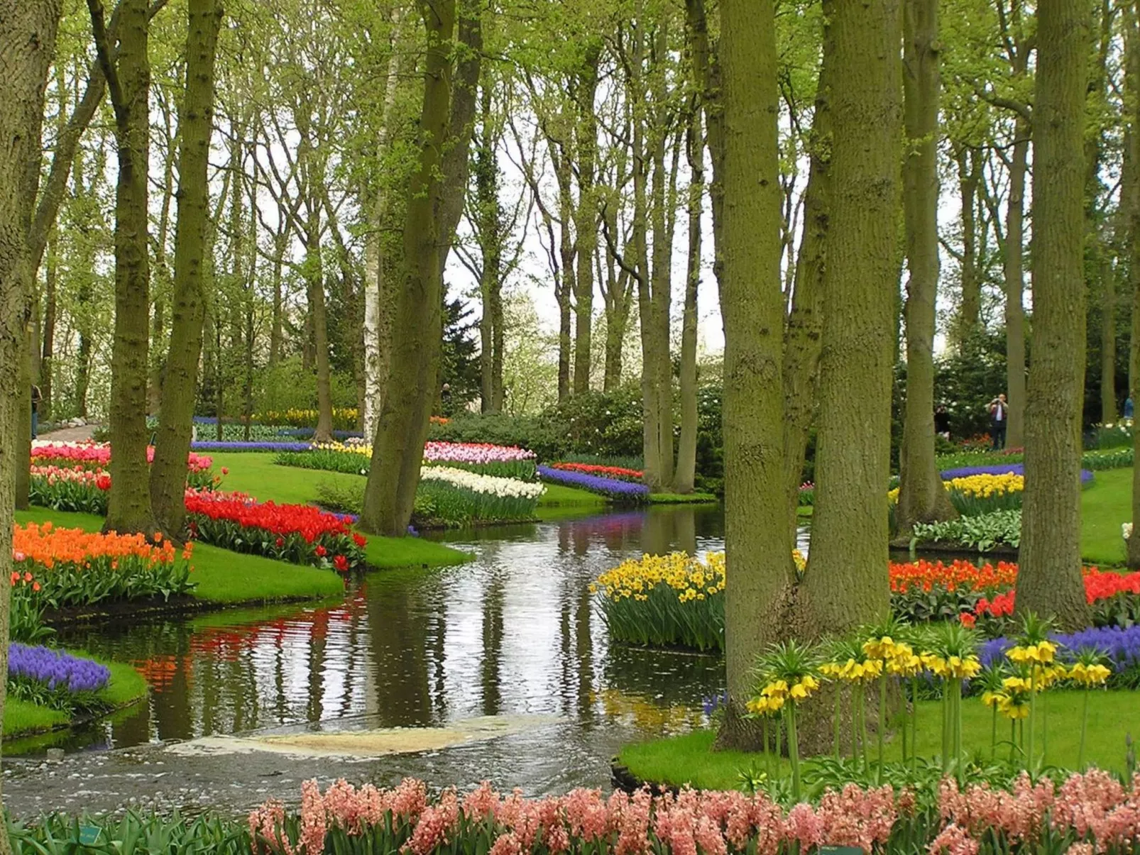 Jazz, Noordwijk aan Zee-Image-tags.info