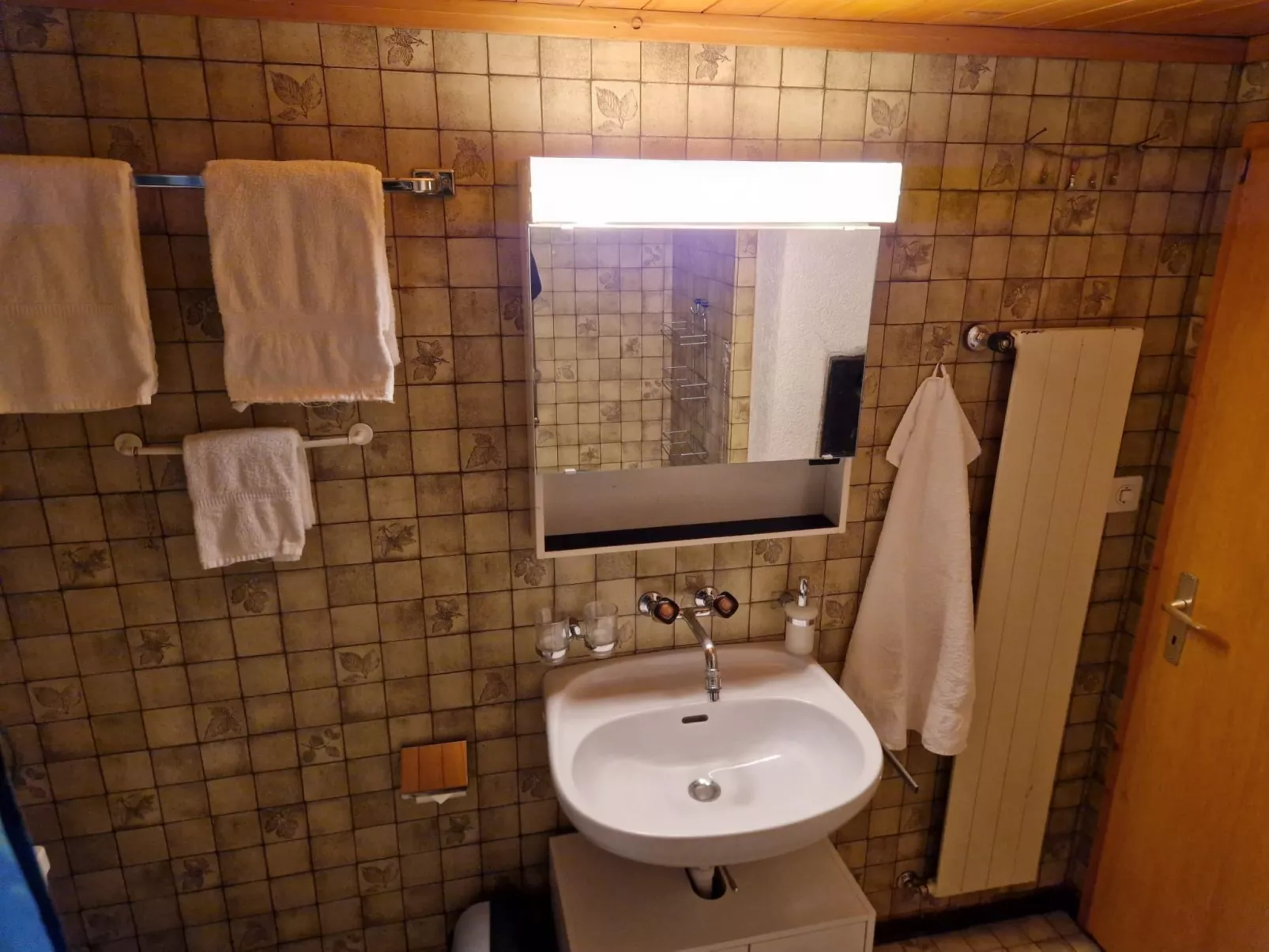 Mit Bergpanorama-Binnen