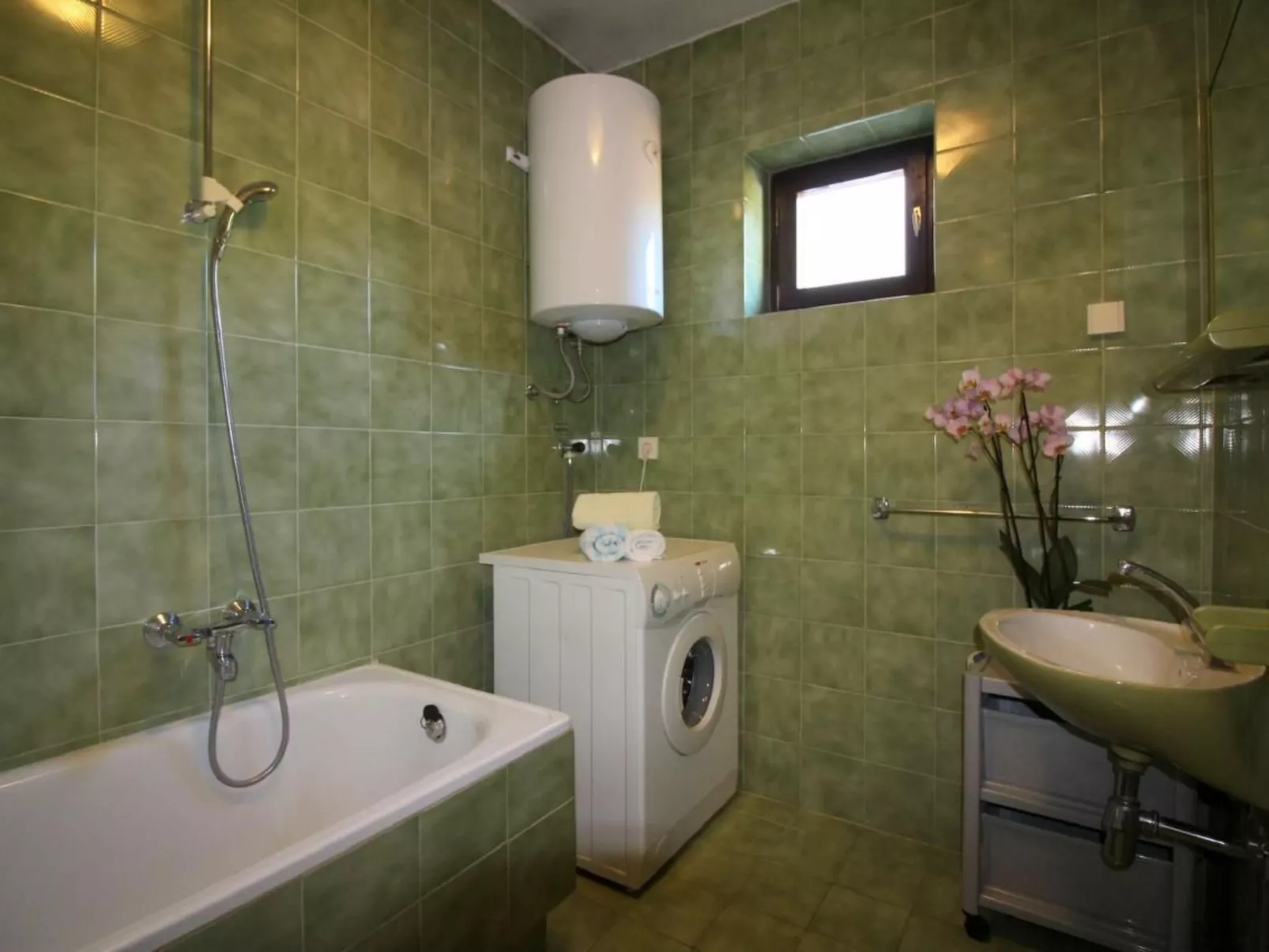 Palma-Image-tags.info