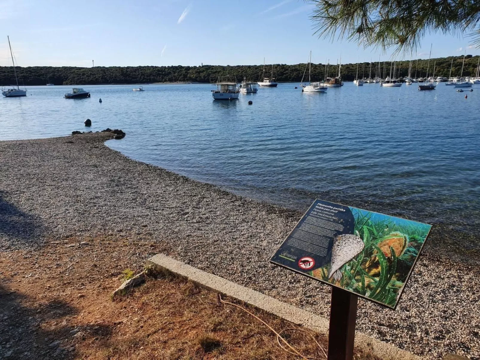 Schönes Apartment in Banjole mit Terrasse-Binnen