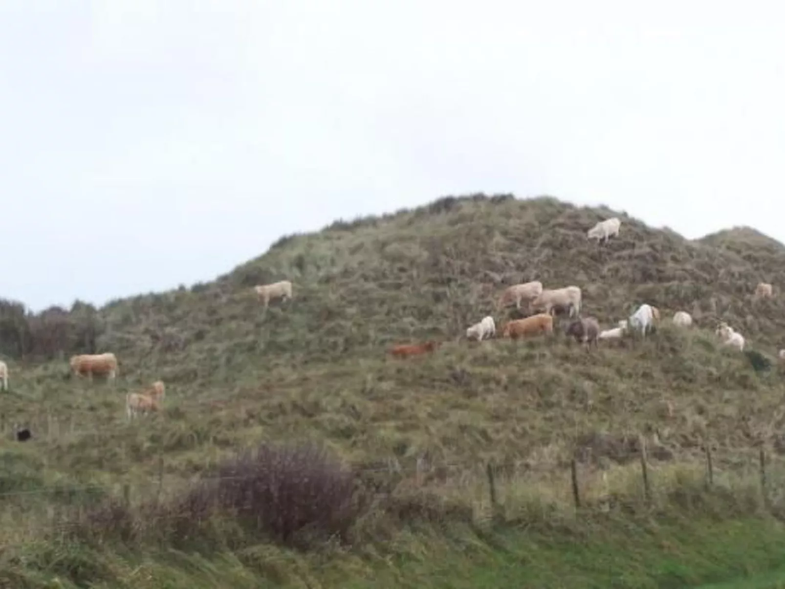 Gemütliches Ferienhaus De Blenck-Binnen