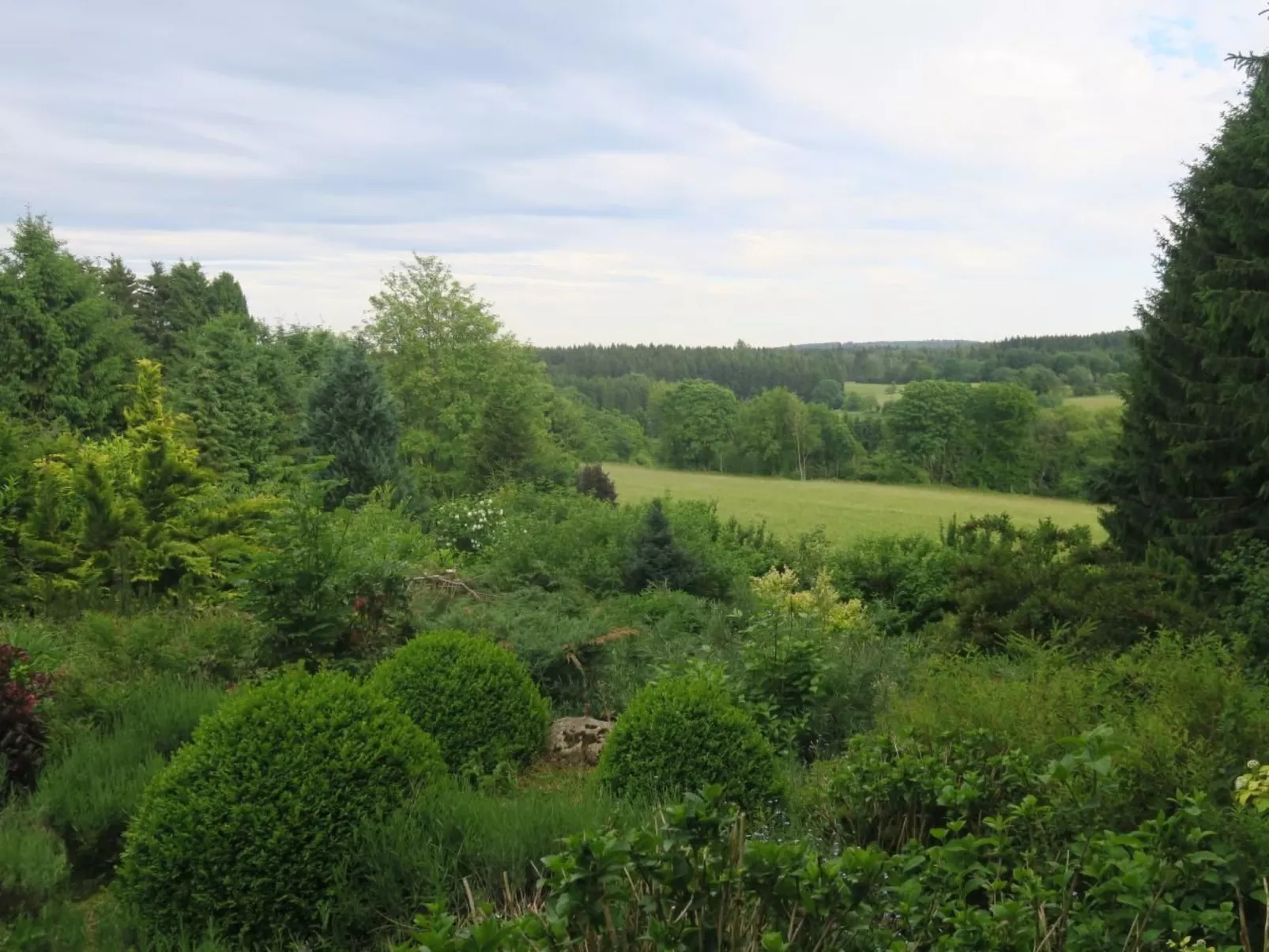 Urlaubsdomizil-Harz-Image-tags.info