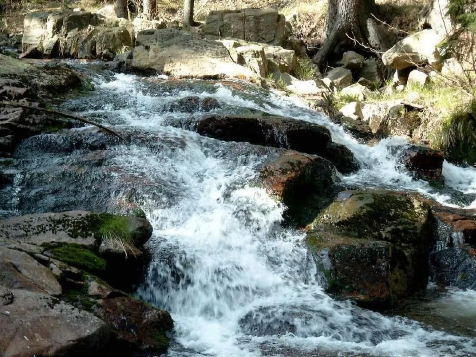 Drabik-Image-tags.info