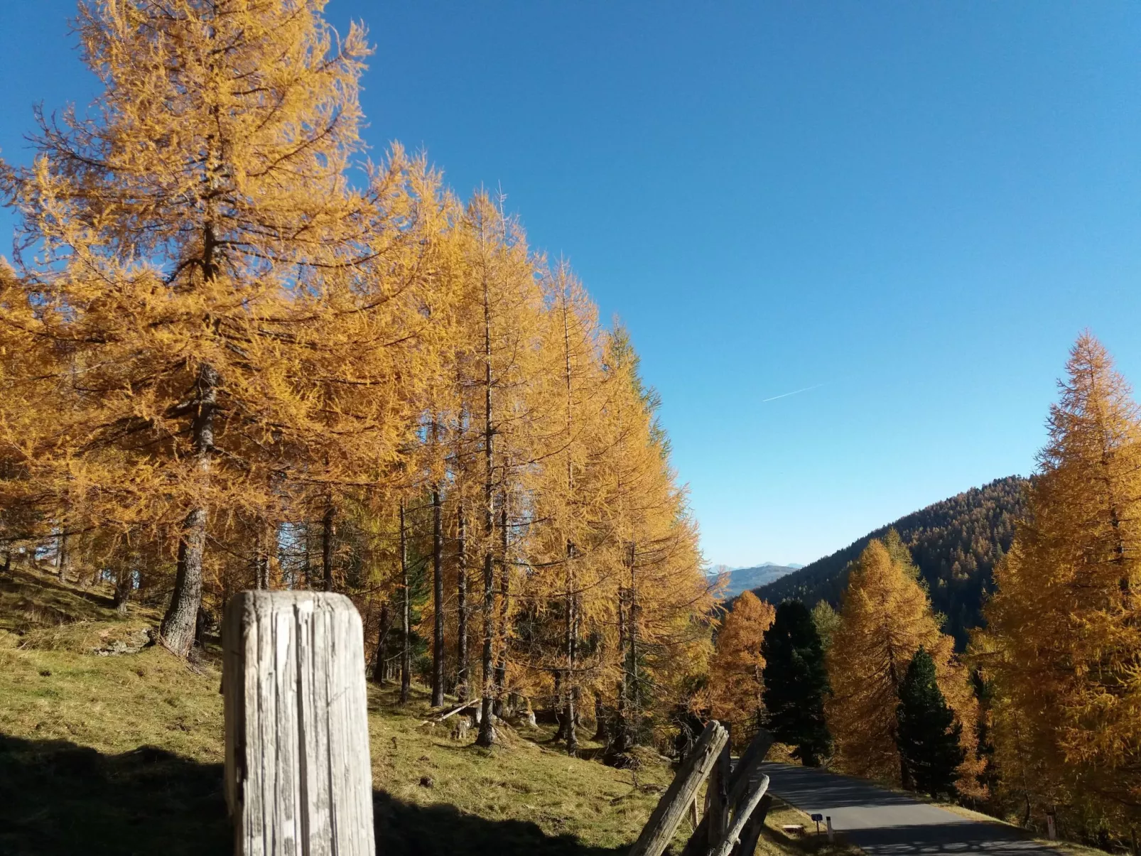 Freistehendes Ferienhaus in idyllischer Lage-Buiten
