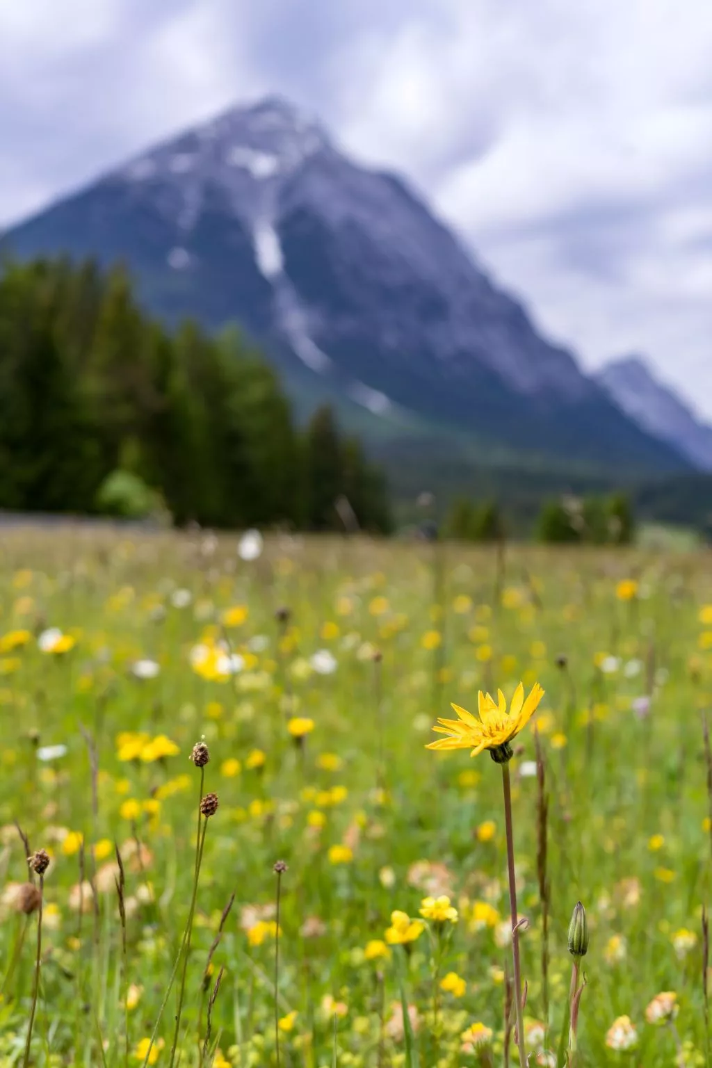 Appartement "Hochgefühl"-Buiten