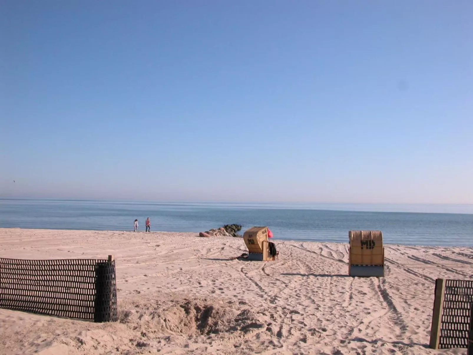 "Rosa Canina",W6-Image-tags.info