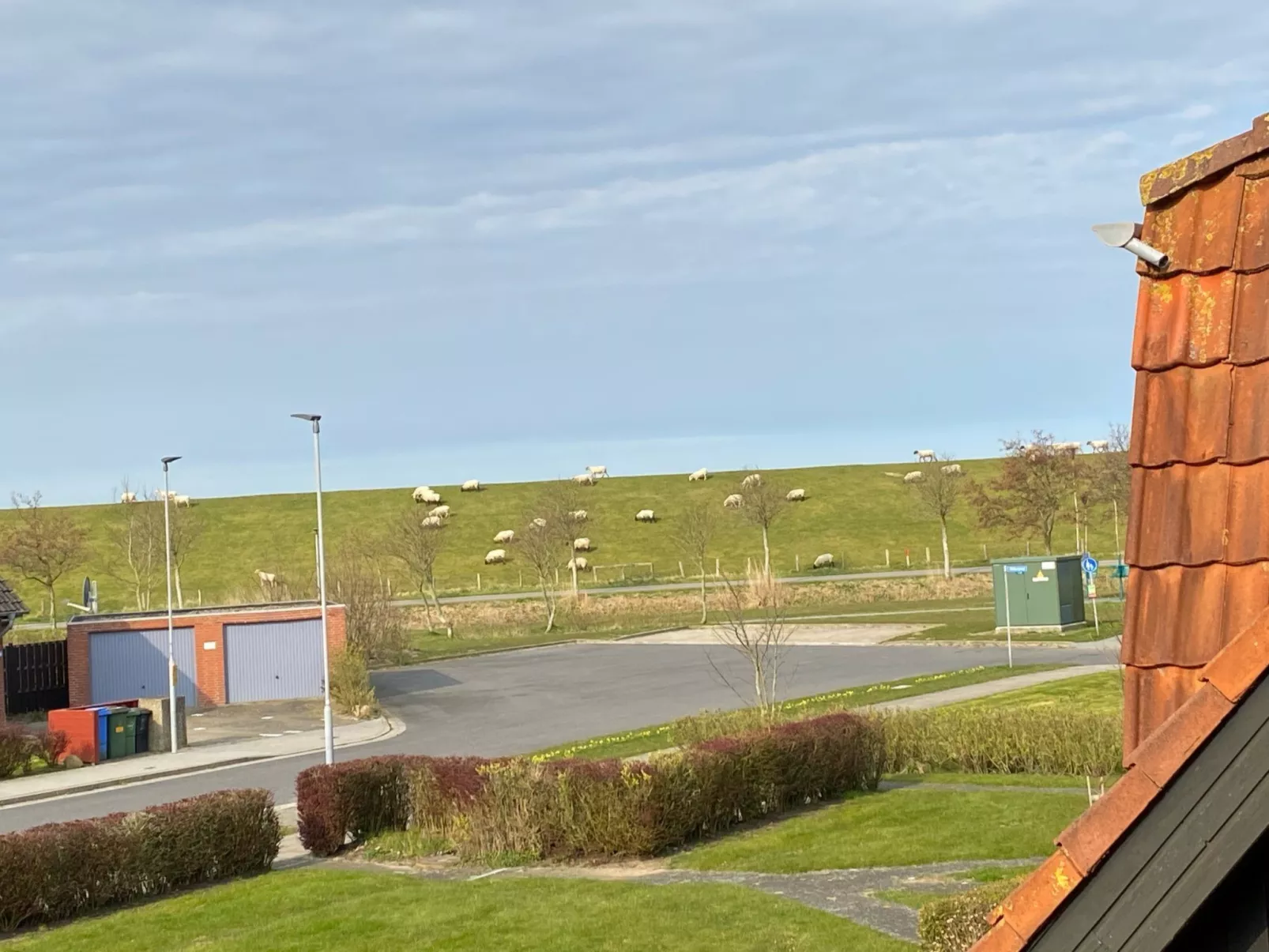 Heimathafen Friko-Binnen