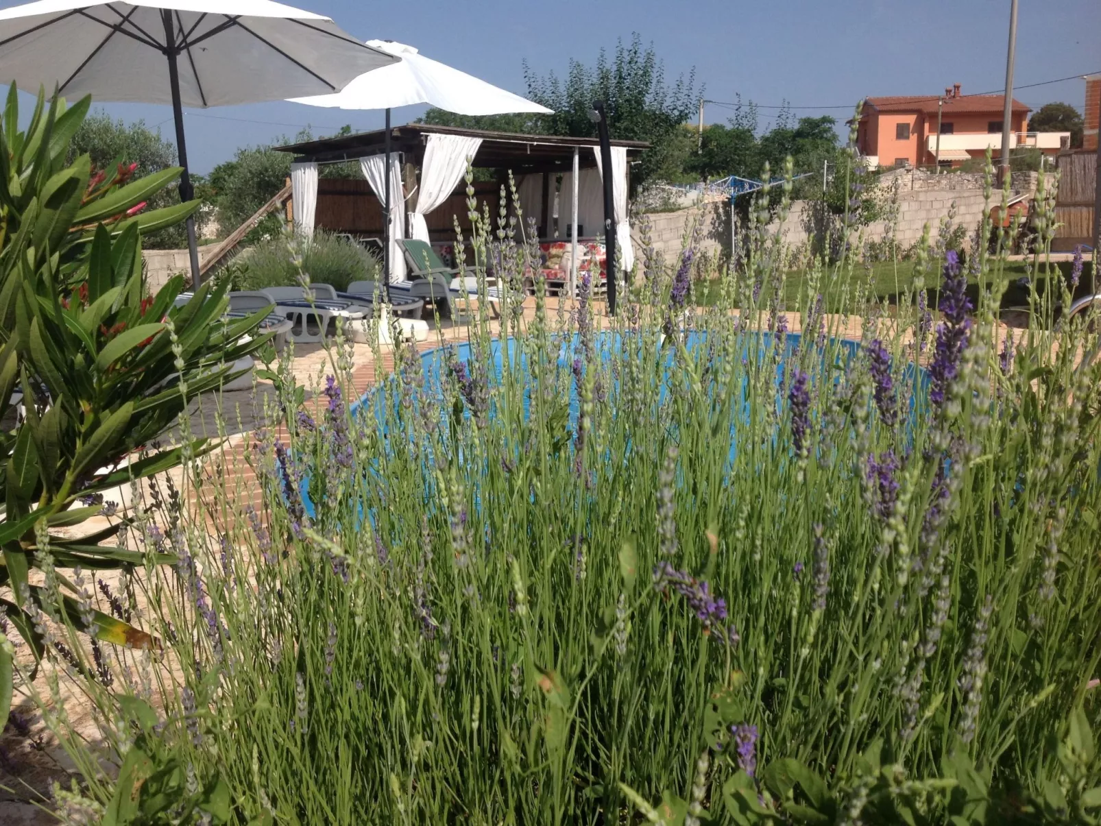 In Bratulići mit Privatem Pool-Buiten